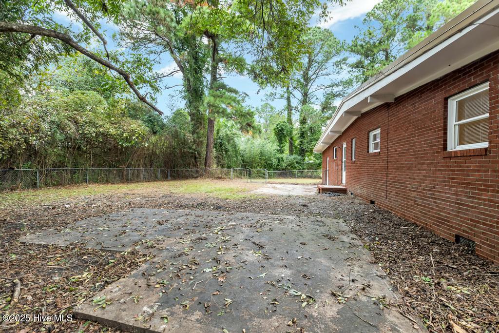 100537299 | Photo 29