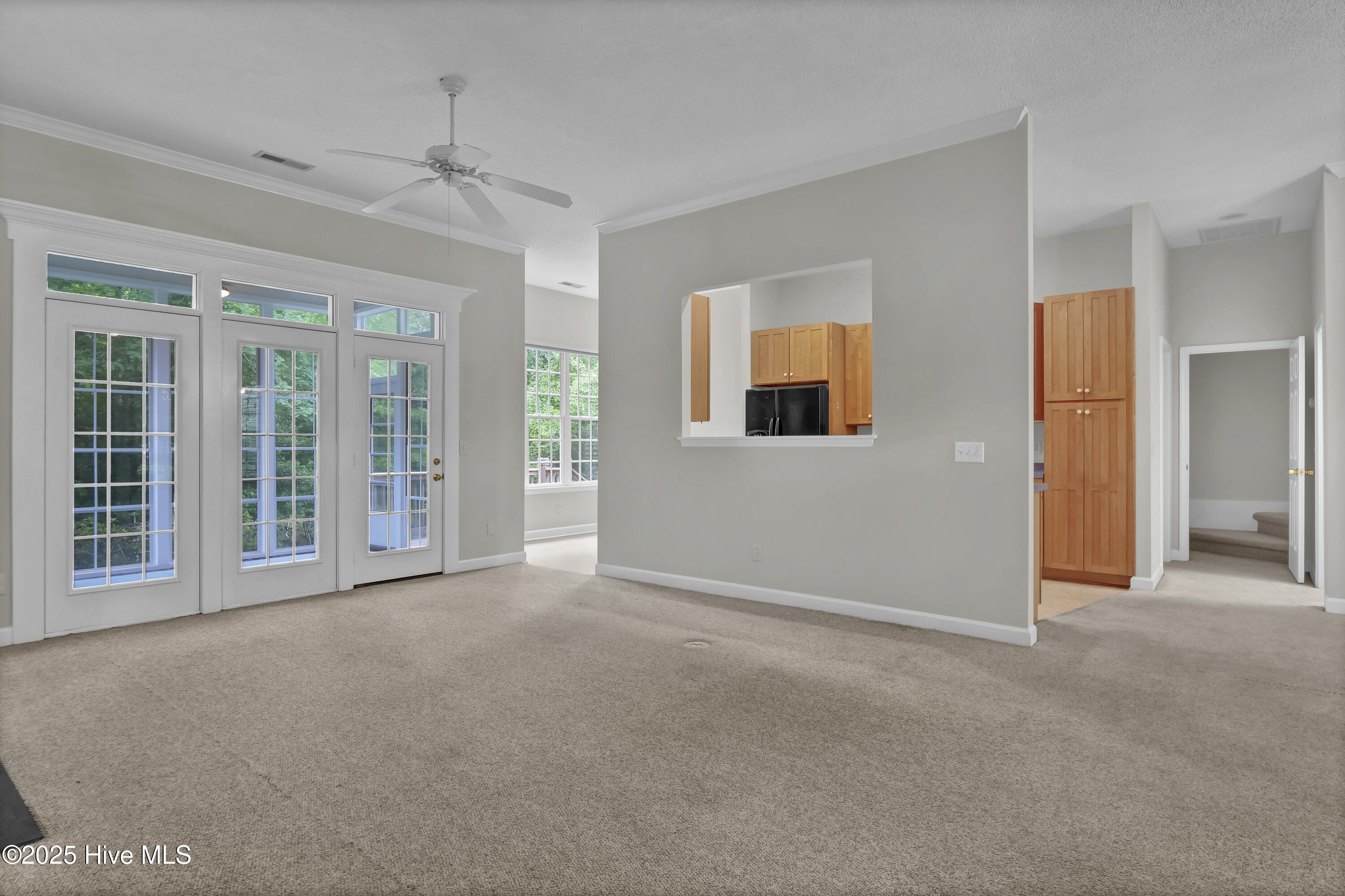 100510157 | Photo 14