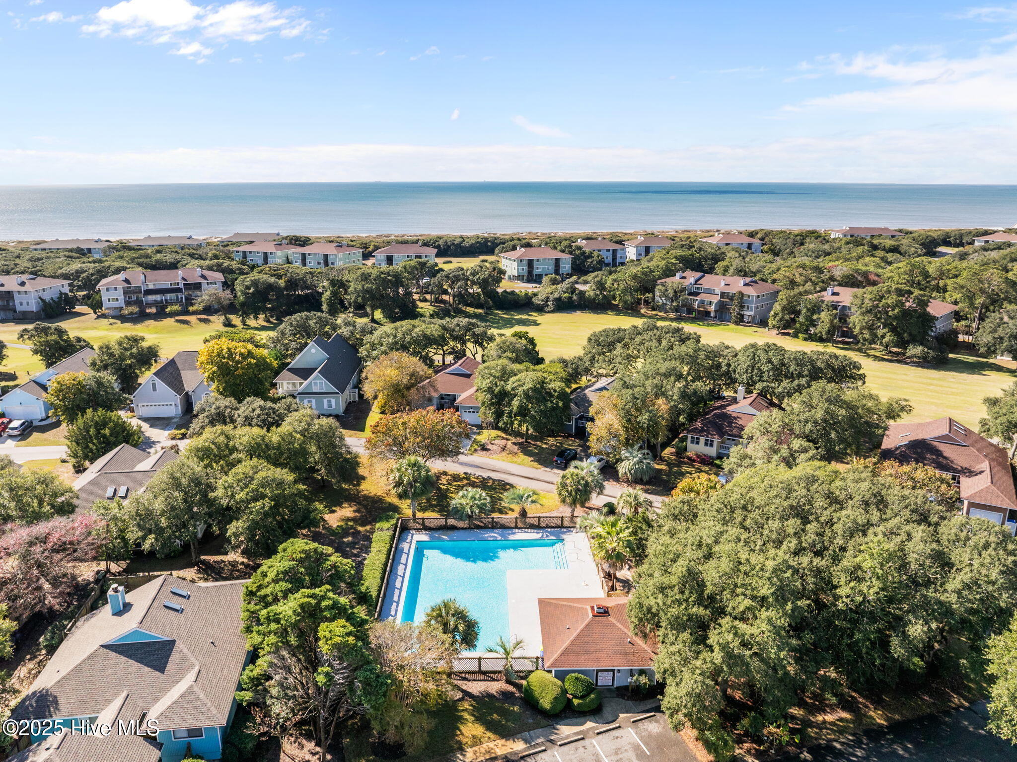 100541218 | Photo 49