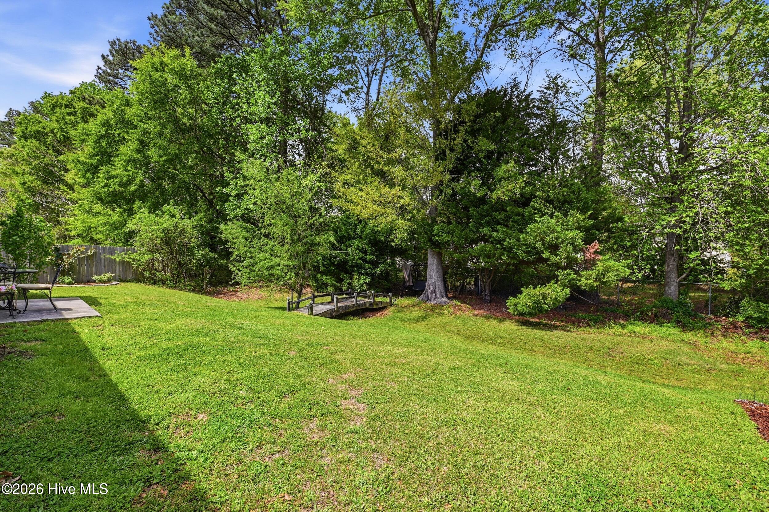 100566143 | Photo 38