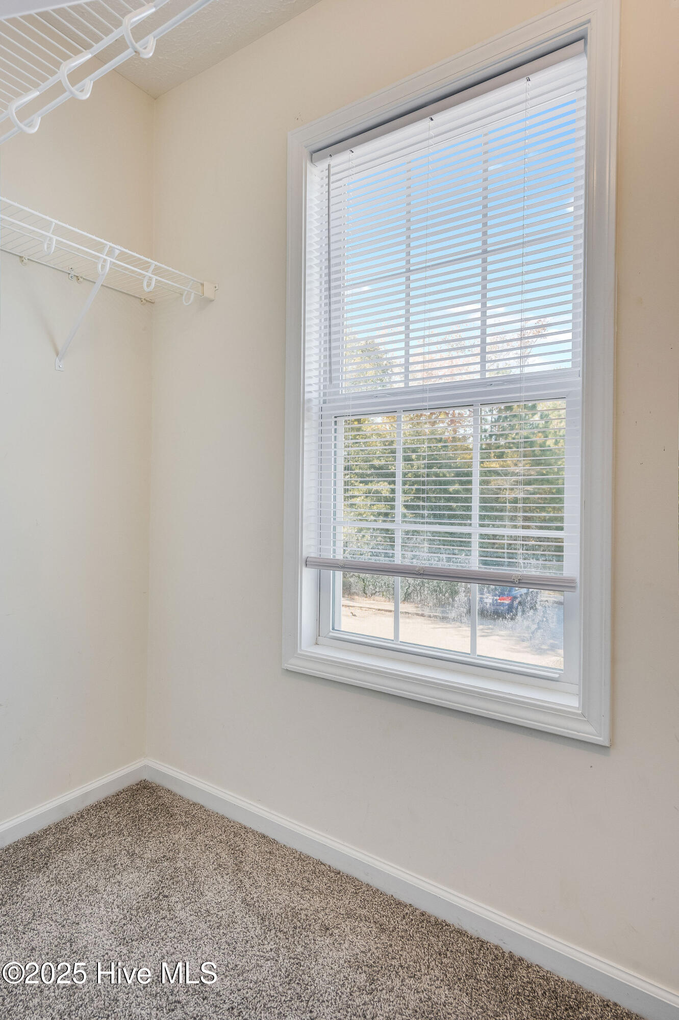 100541408 | Photo 45