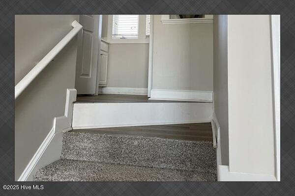 100546562 | Photo 31