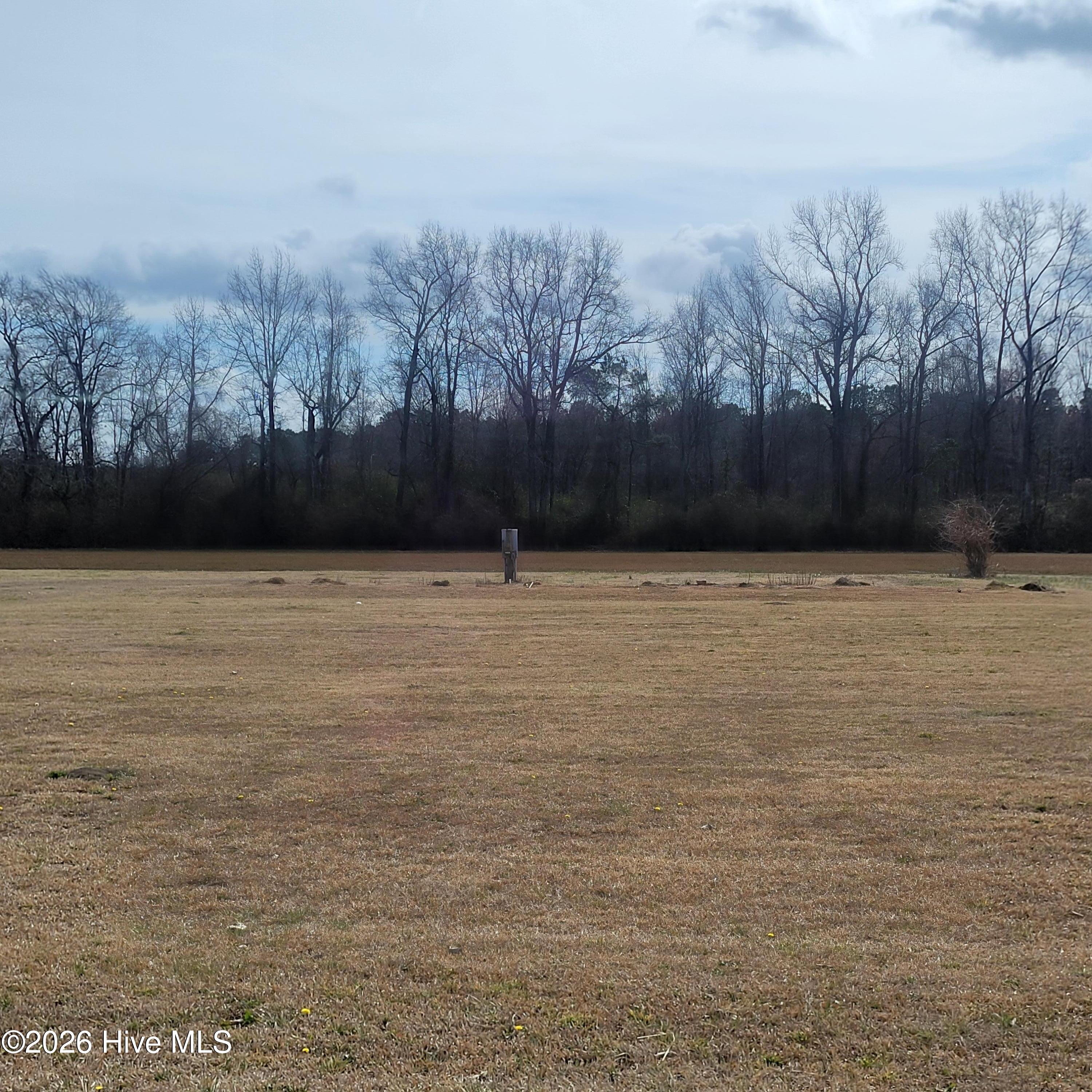 Undisclosed Address, Willard, NC, 28478