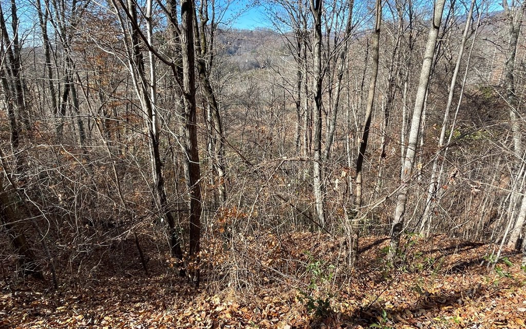 Exterior photo of Lot 36M Mountain Harbour, Hayesville, NC 28904. MLS: 98531556