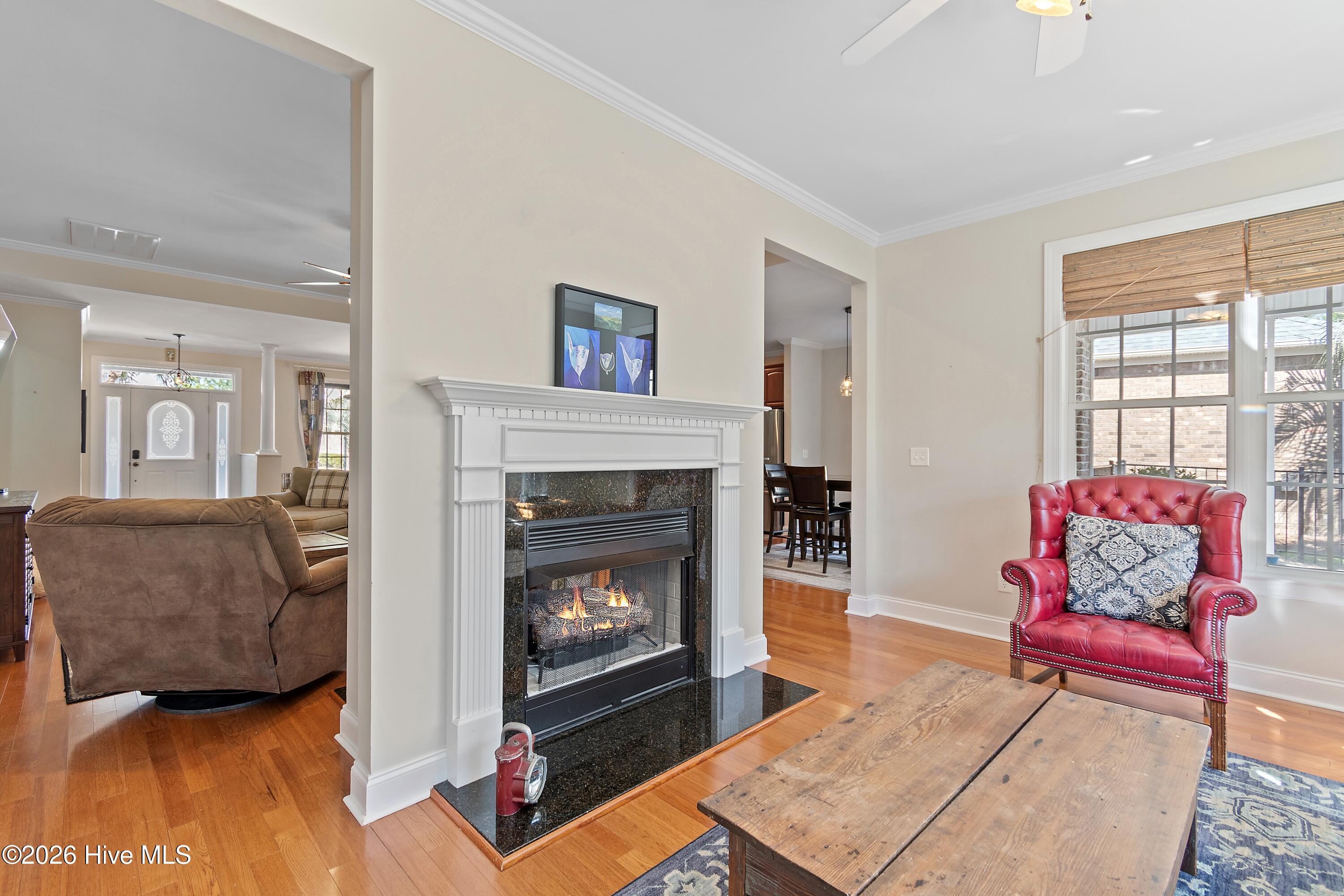 100554573 | Photo 19