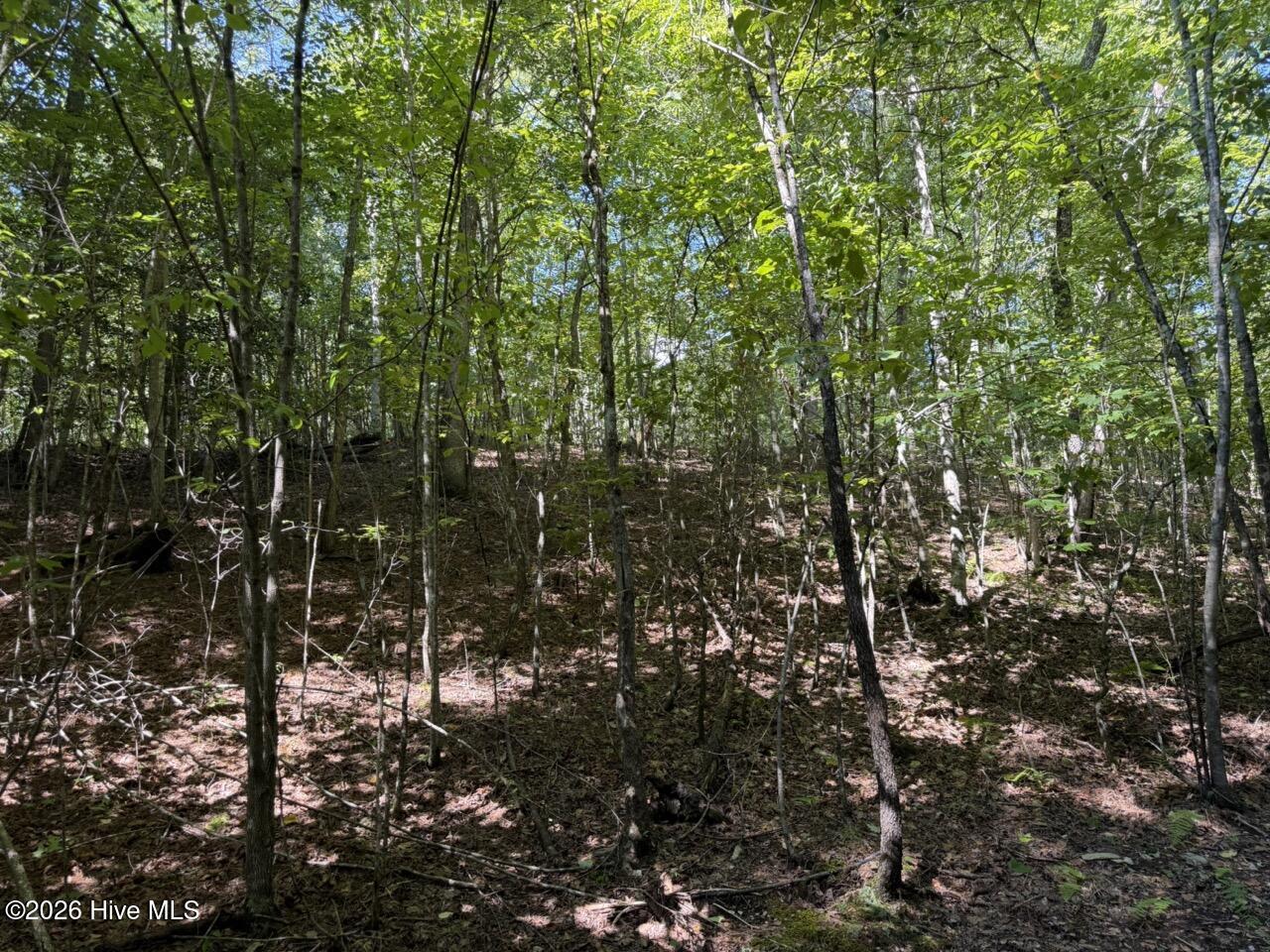 33rd image of 302 Dollie Sneed Ln, Murphy, NC 28906 | MLS# 100598982