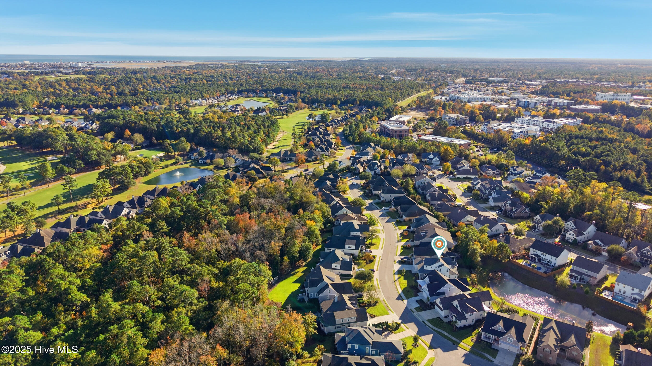 100540842 | Photo 75