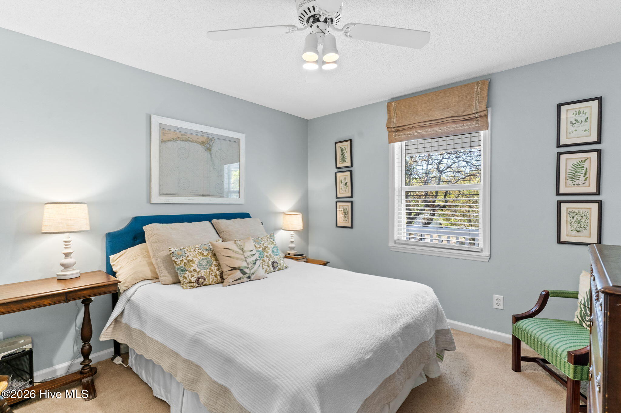 100567524 | Photo 21