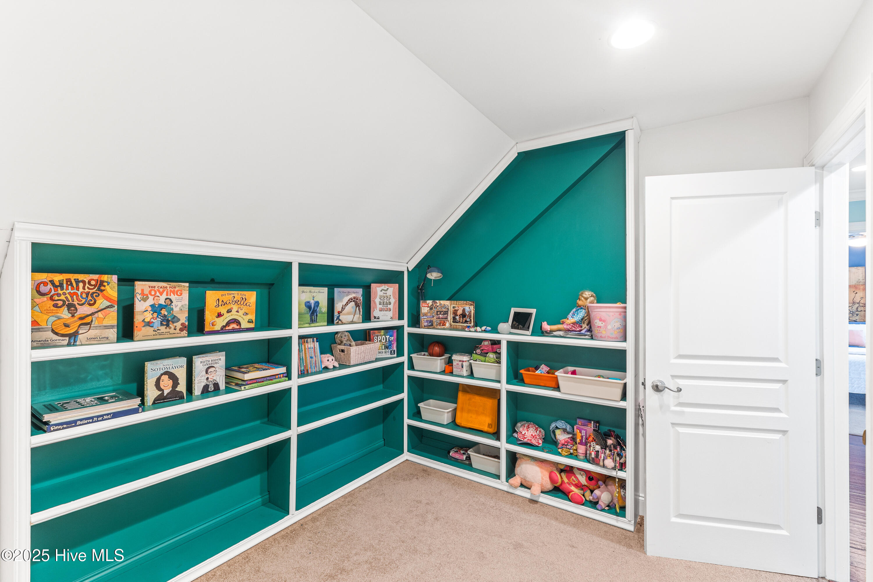 100520720 | Photo 29