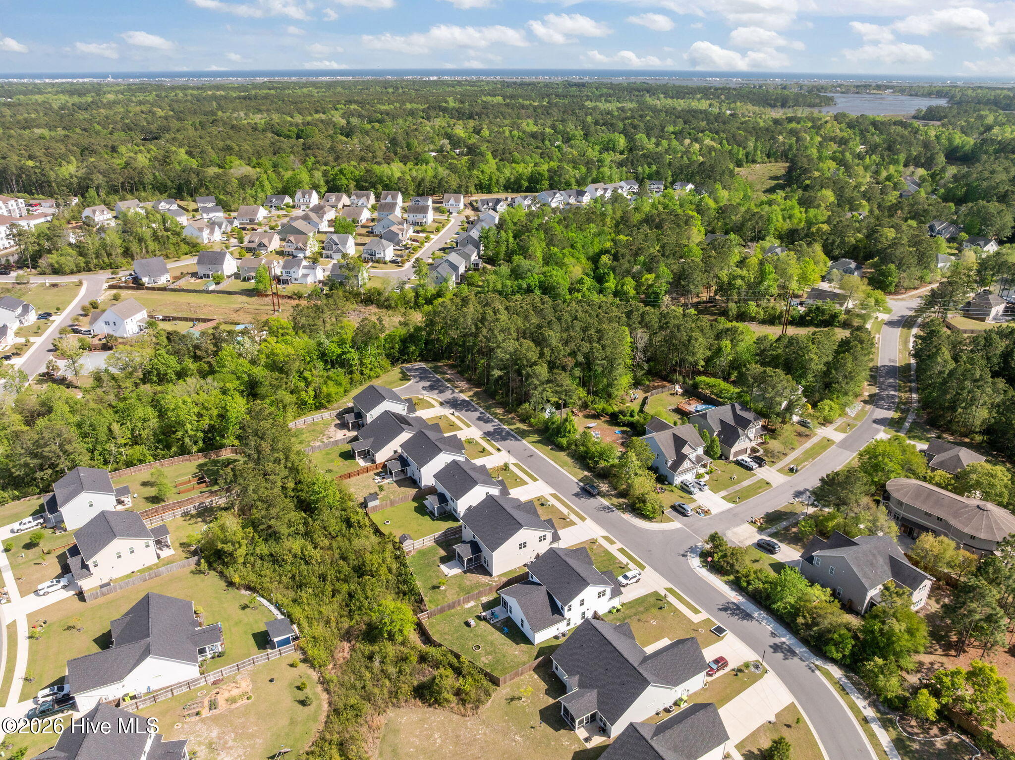 100567442 | Photo 44