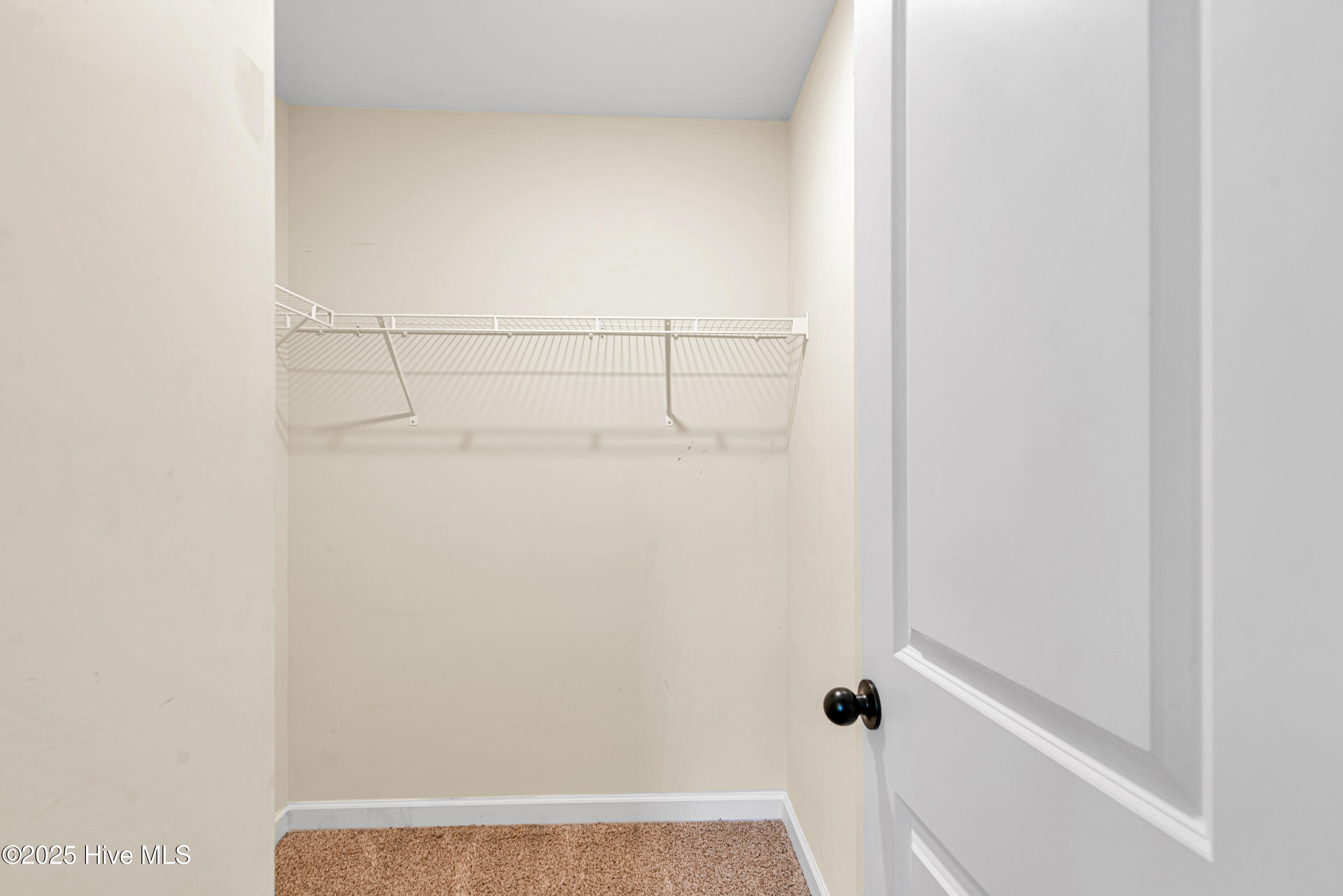 100531224 | Photo 31