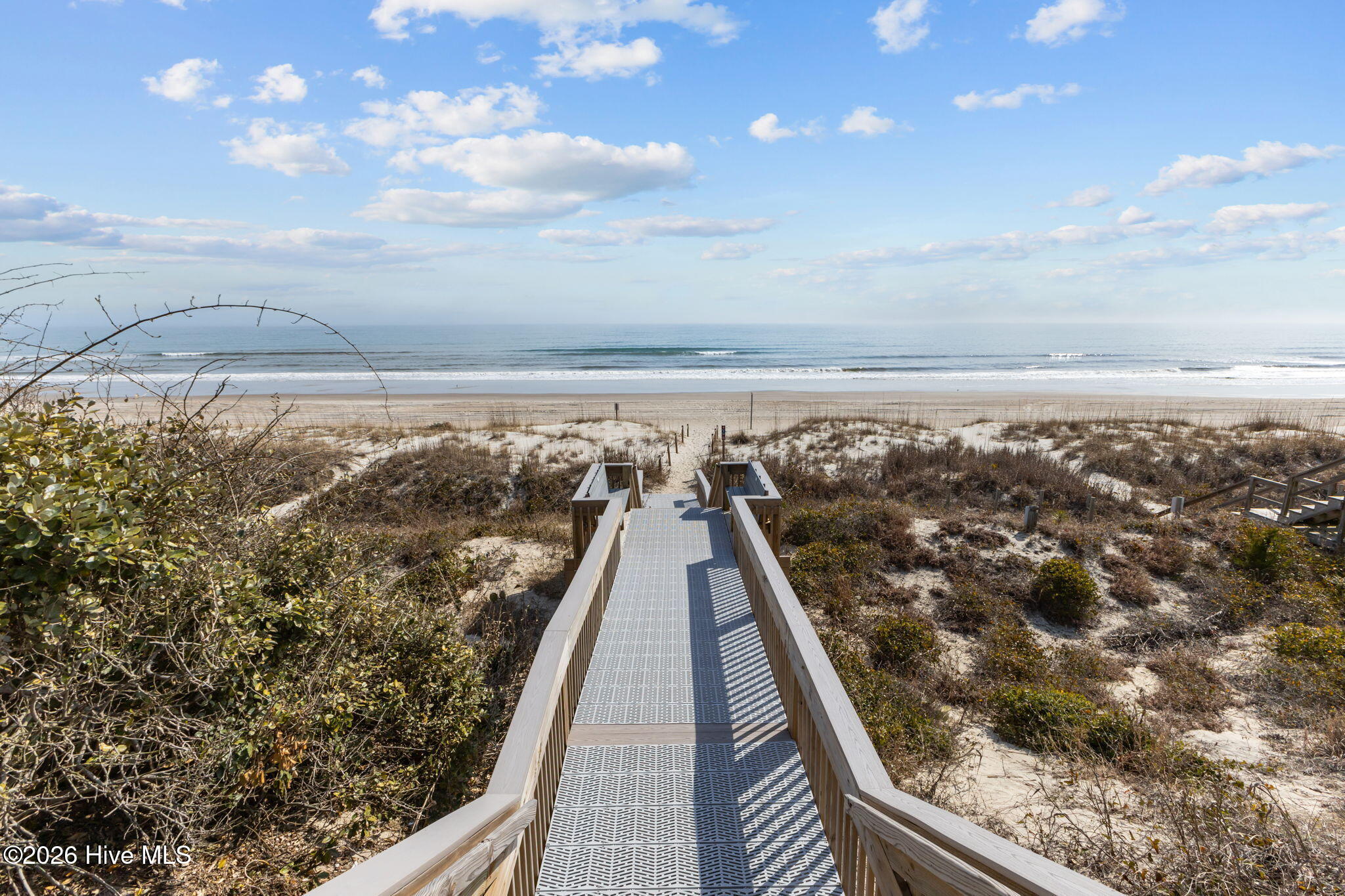 100557971 | Photo 39