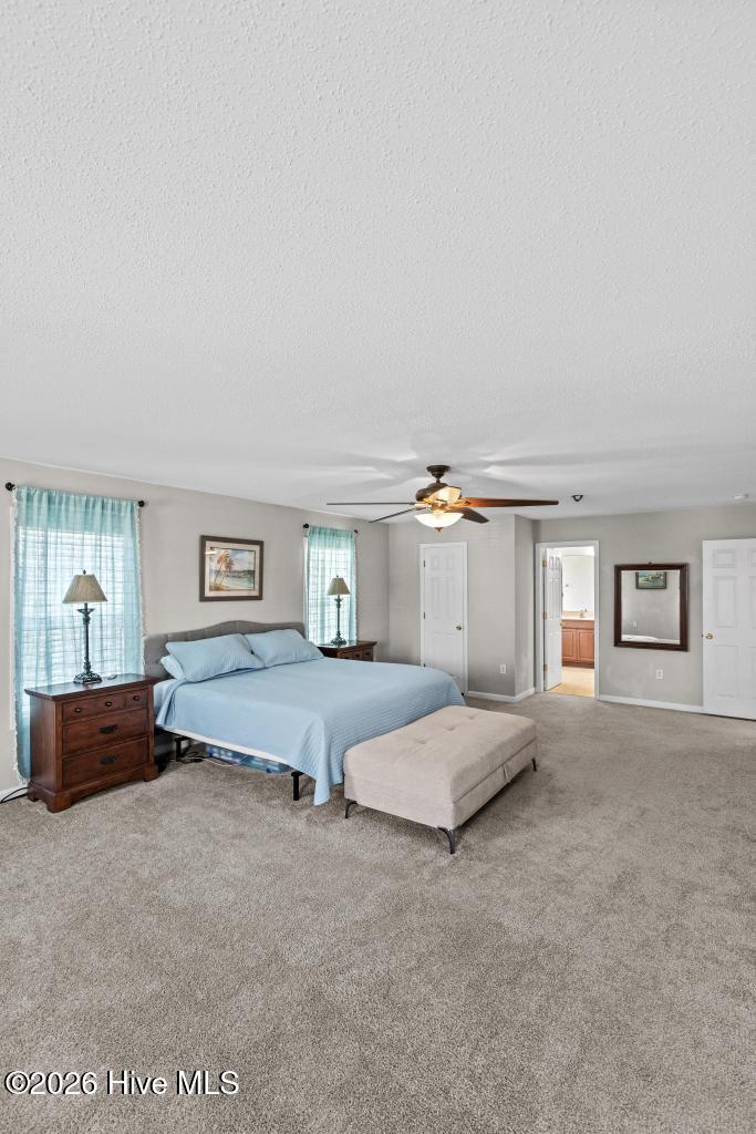 100564951 | Photo 35