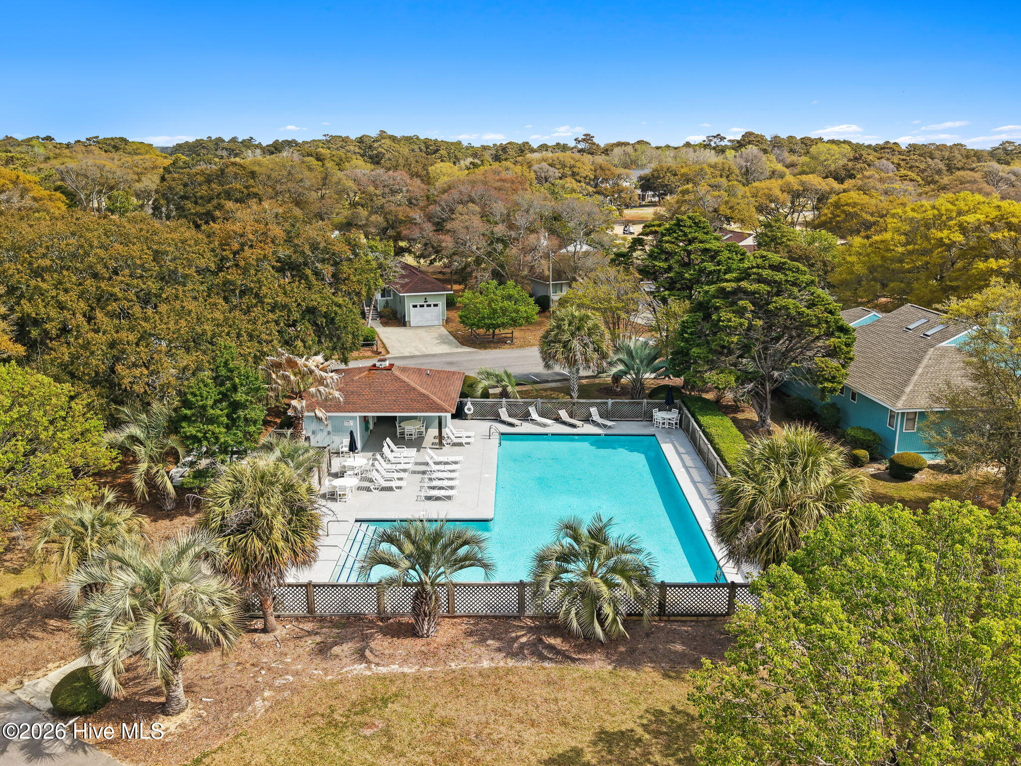 100565484 | Photo 18