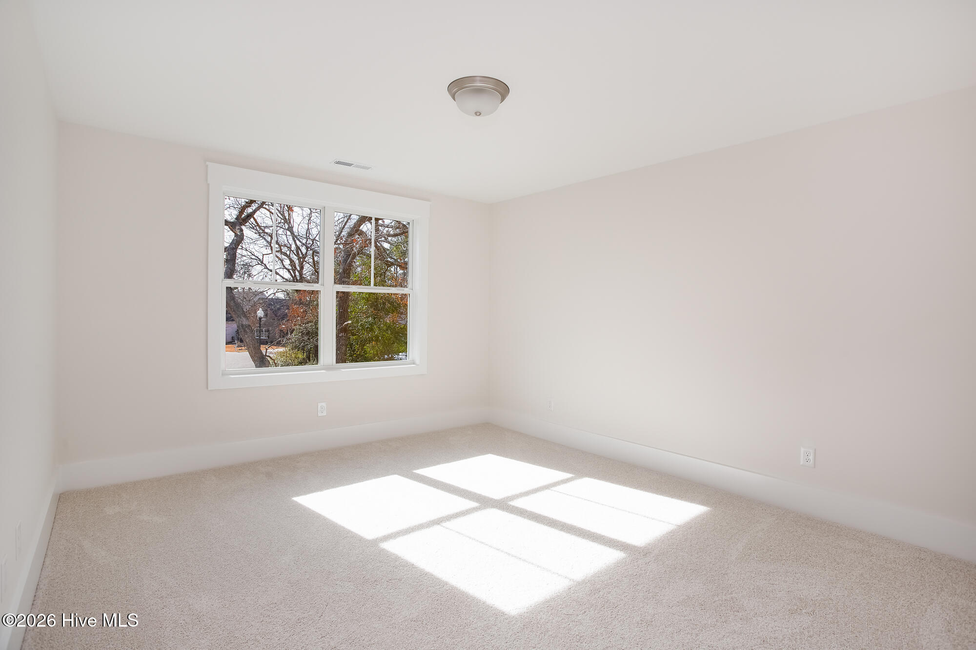 100559755 | Photo 19