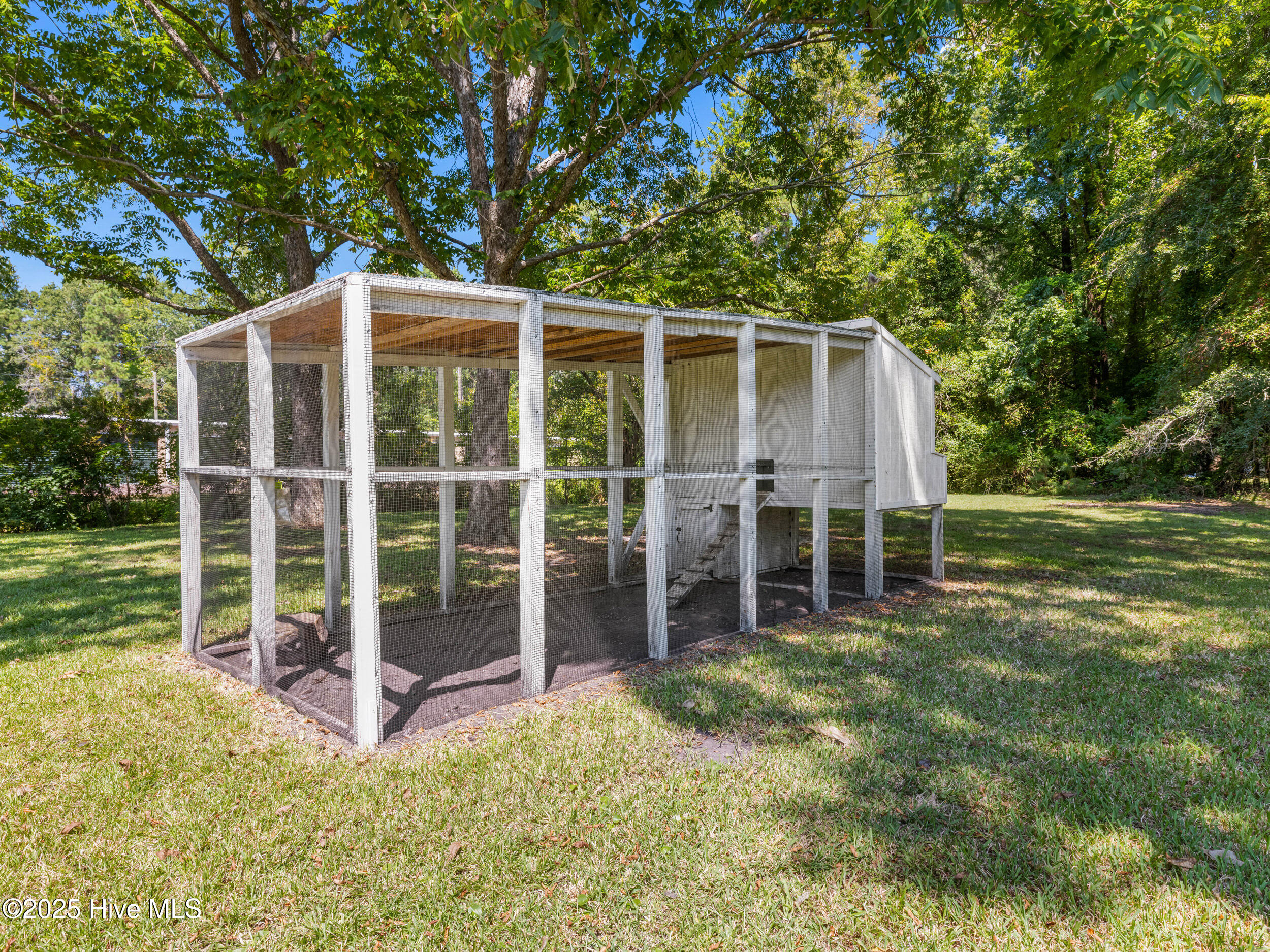 100529453 | Photo 36