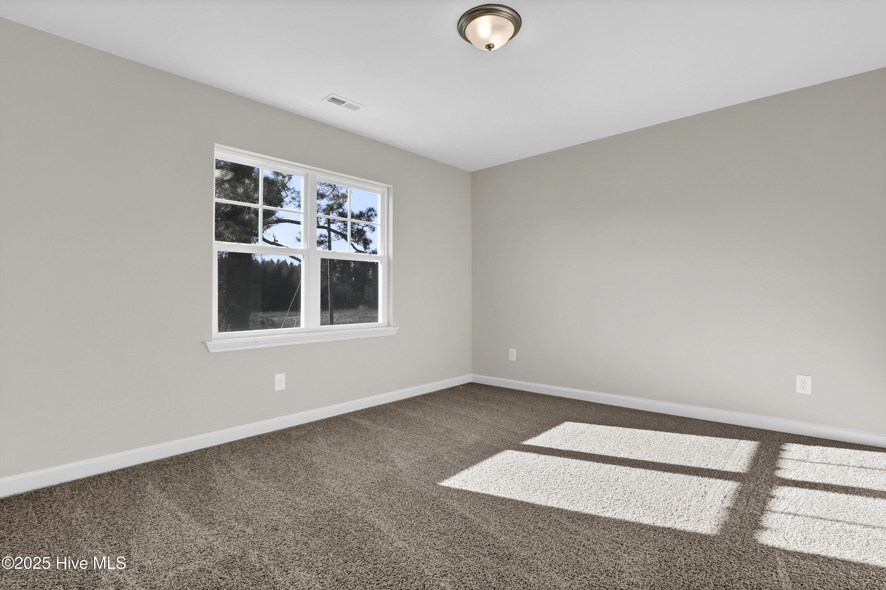 100461654 | Photo 17