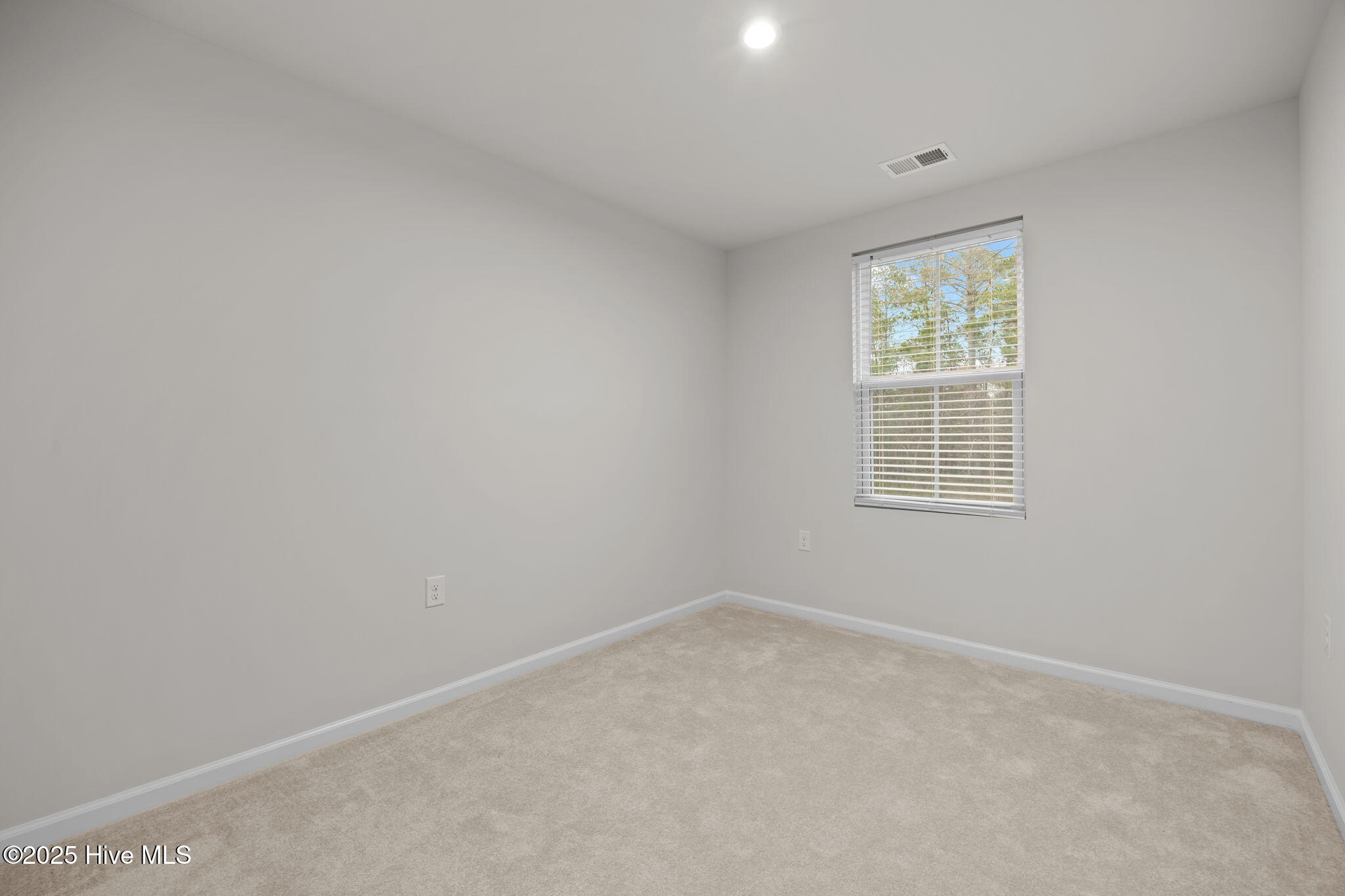 100546281 | Photo 19