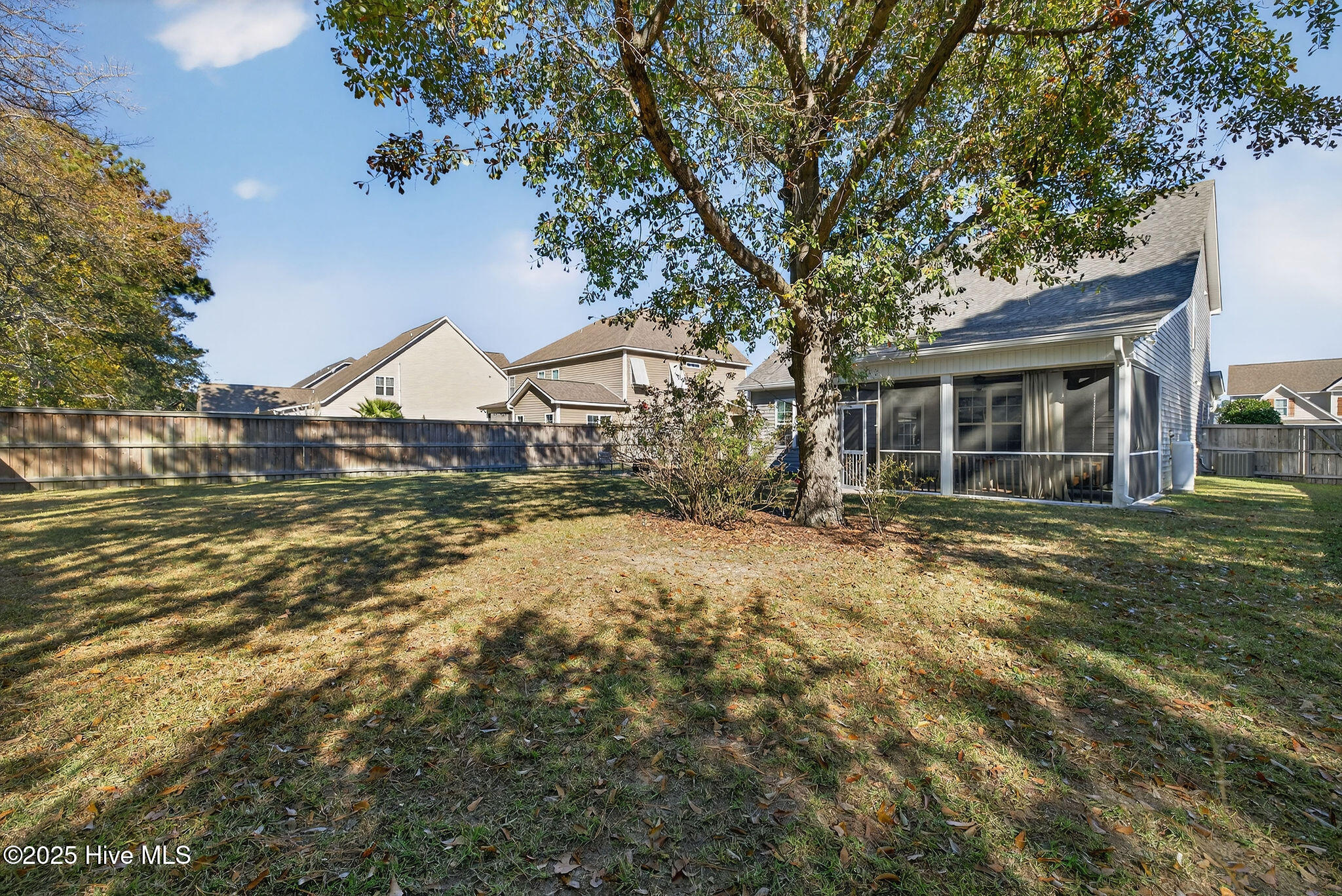 100541825 | Photo 46