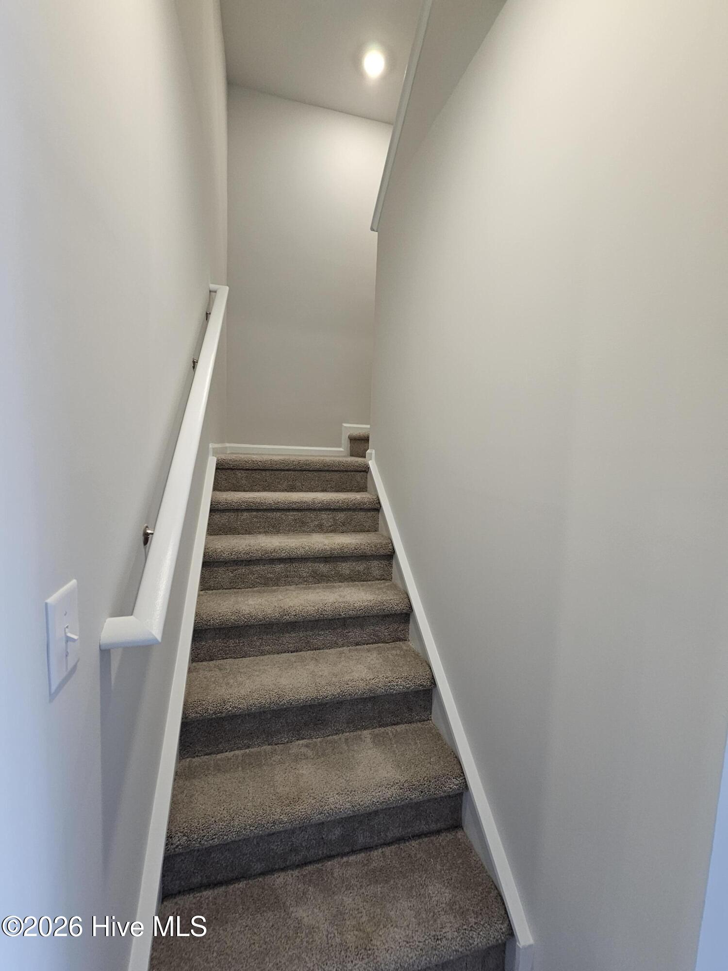 100548483 | Photo 12