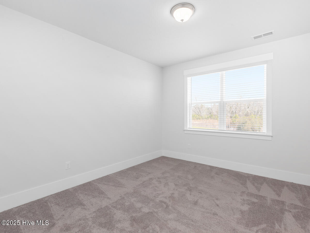 100513787 | Photo 10