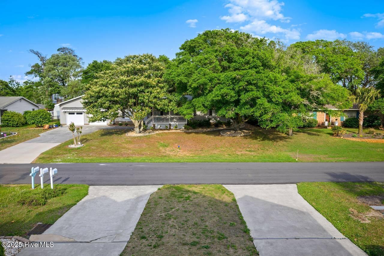 100541389 | Photo 55