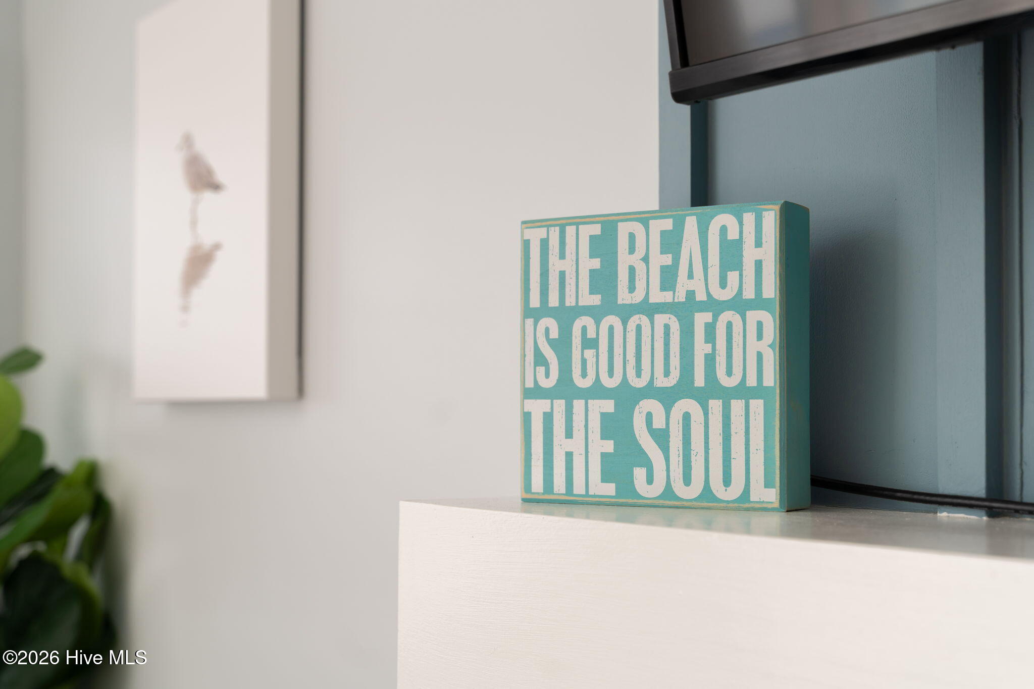 100561667 | Photo 77