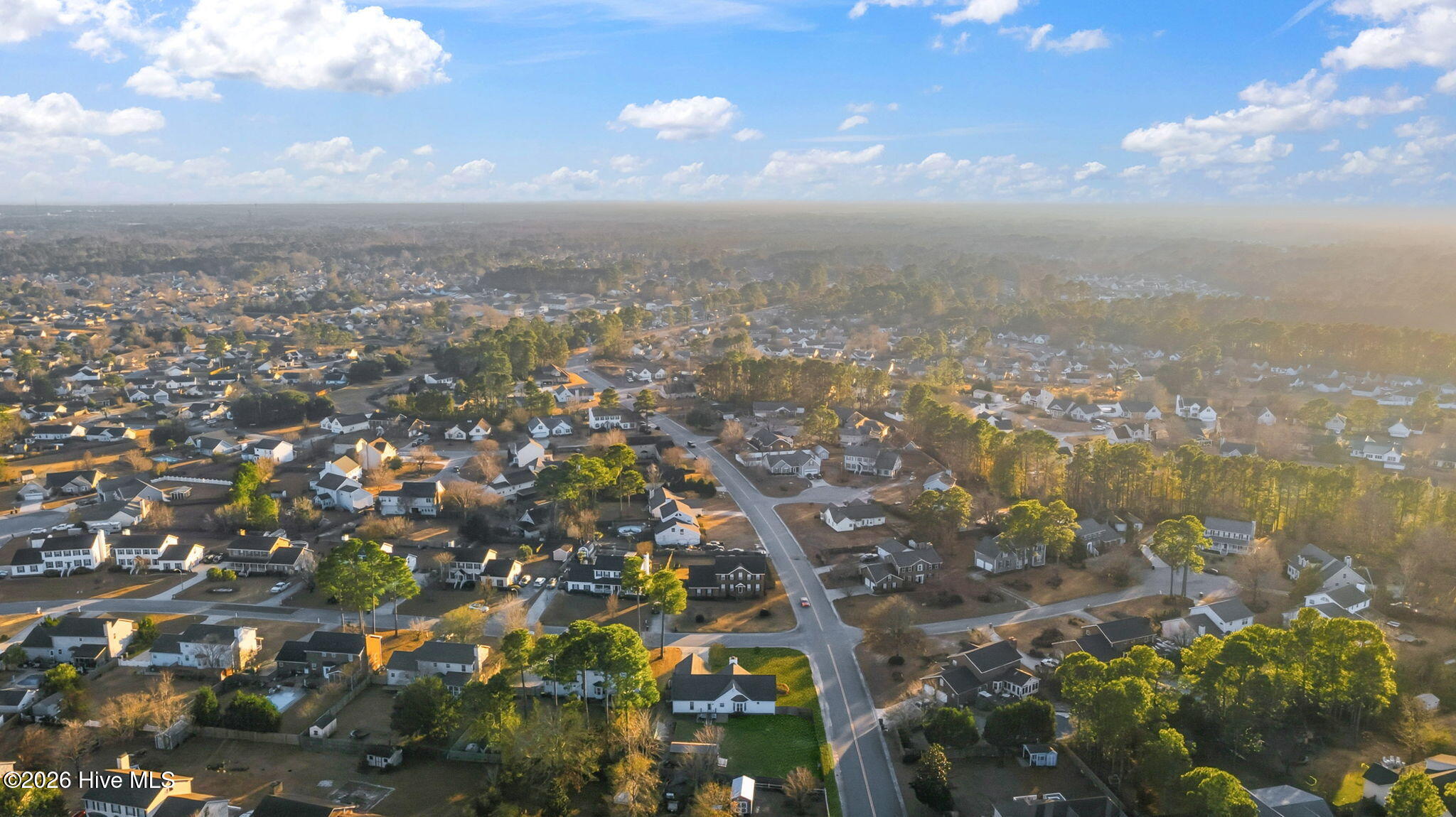 100548117 | Photo 53