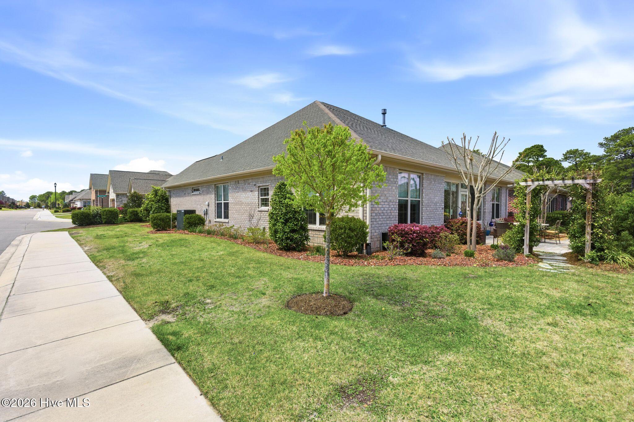 100564564 | Photo 52