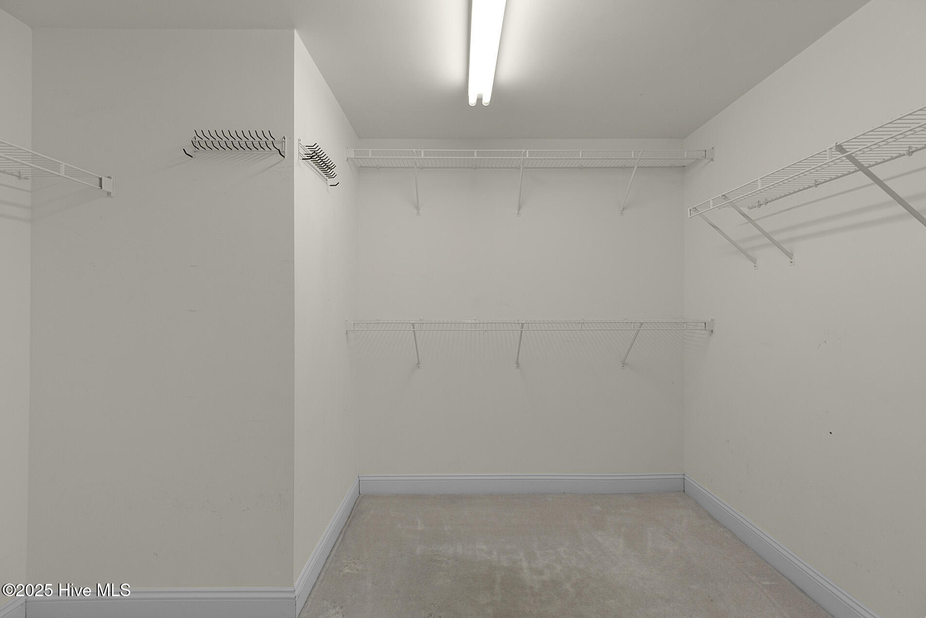 100525517 | Photo 29