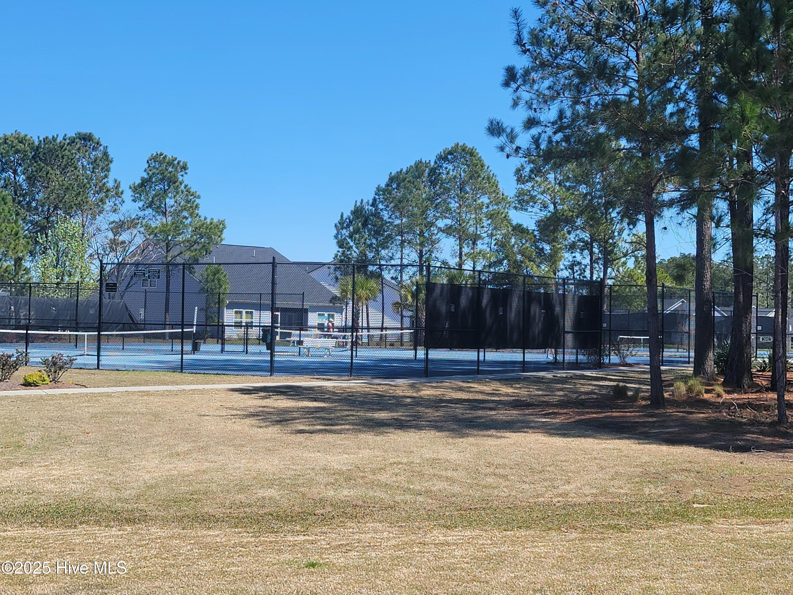 100547229 | Photo 60