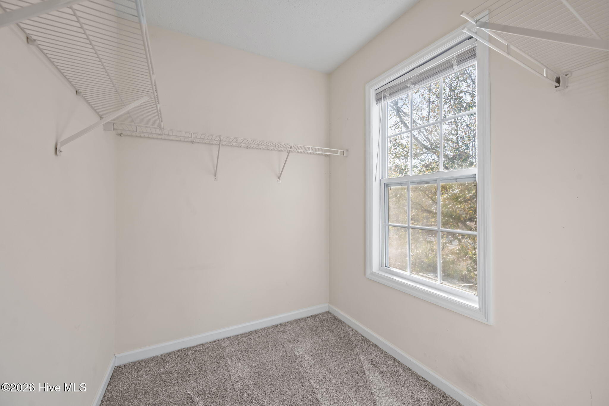 100547961 | Photo 26