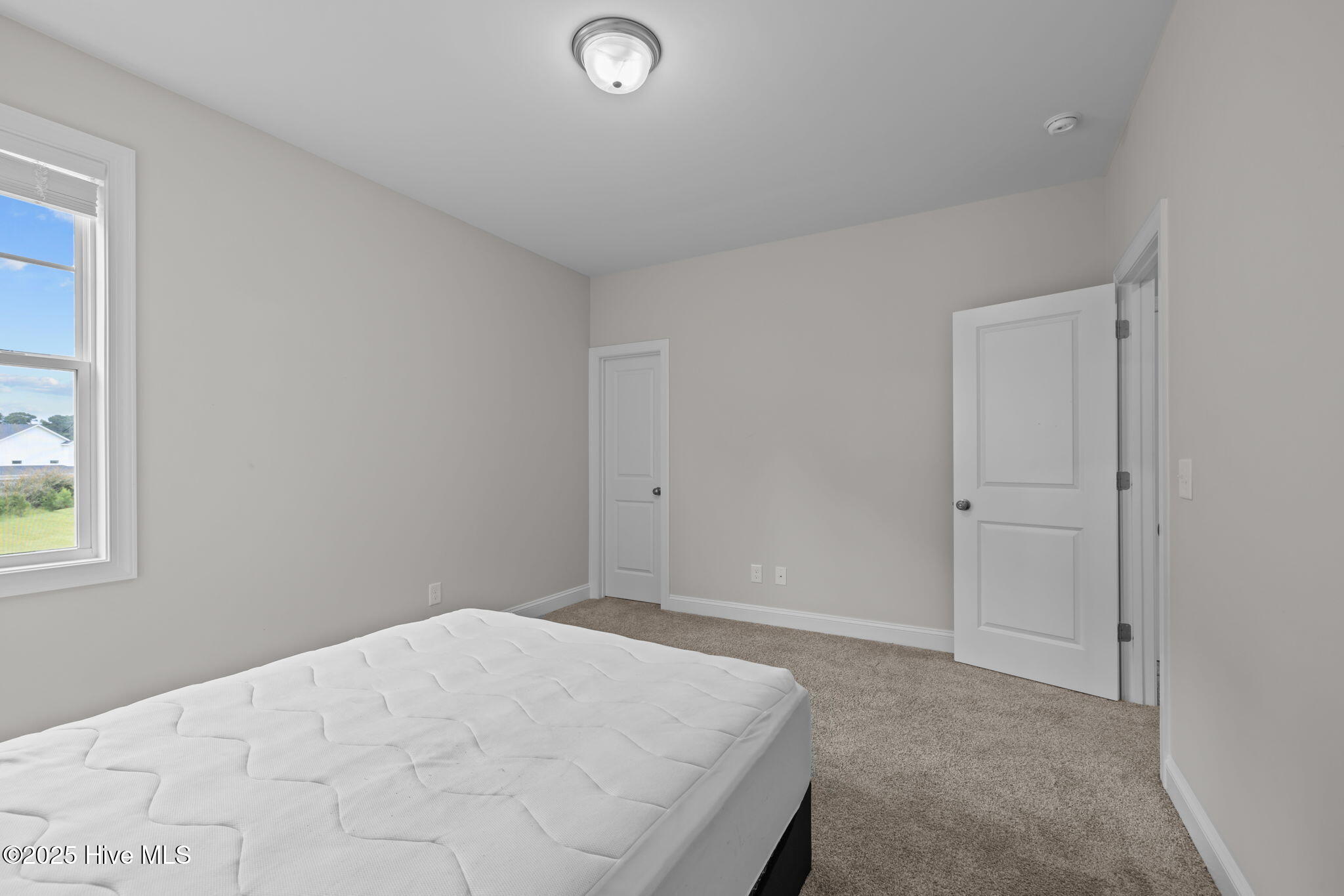 100526771 | Photo 32