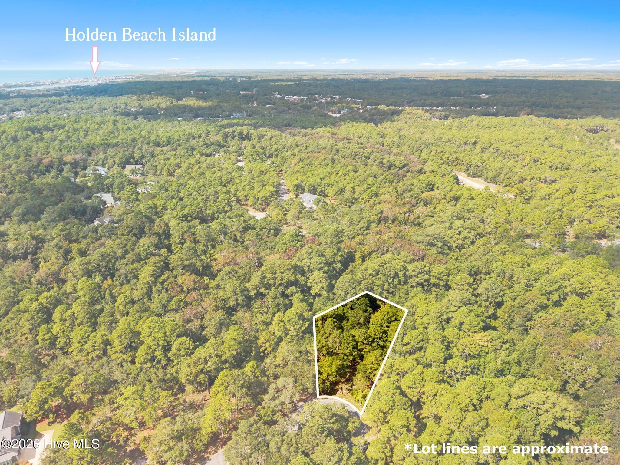 Photo 3 of Land for sale at 3771 Acadian Ave SW, Supply, NC 28462 | MLS# 100608037 | Listing updated on 2026-10-05