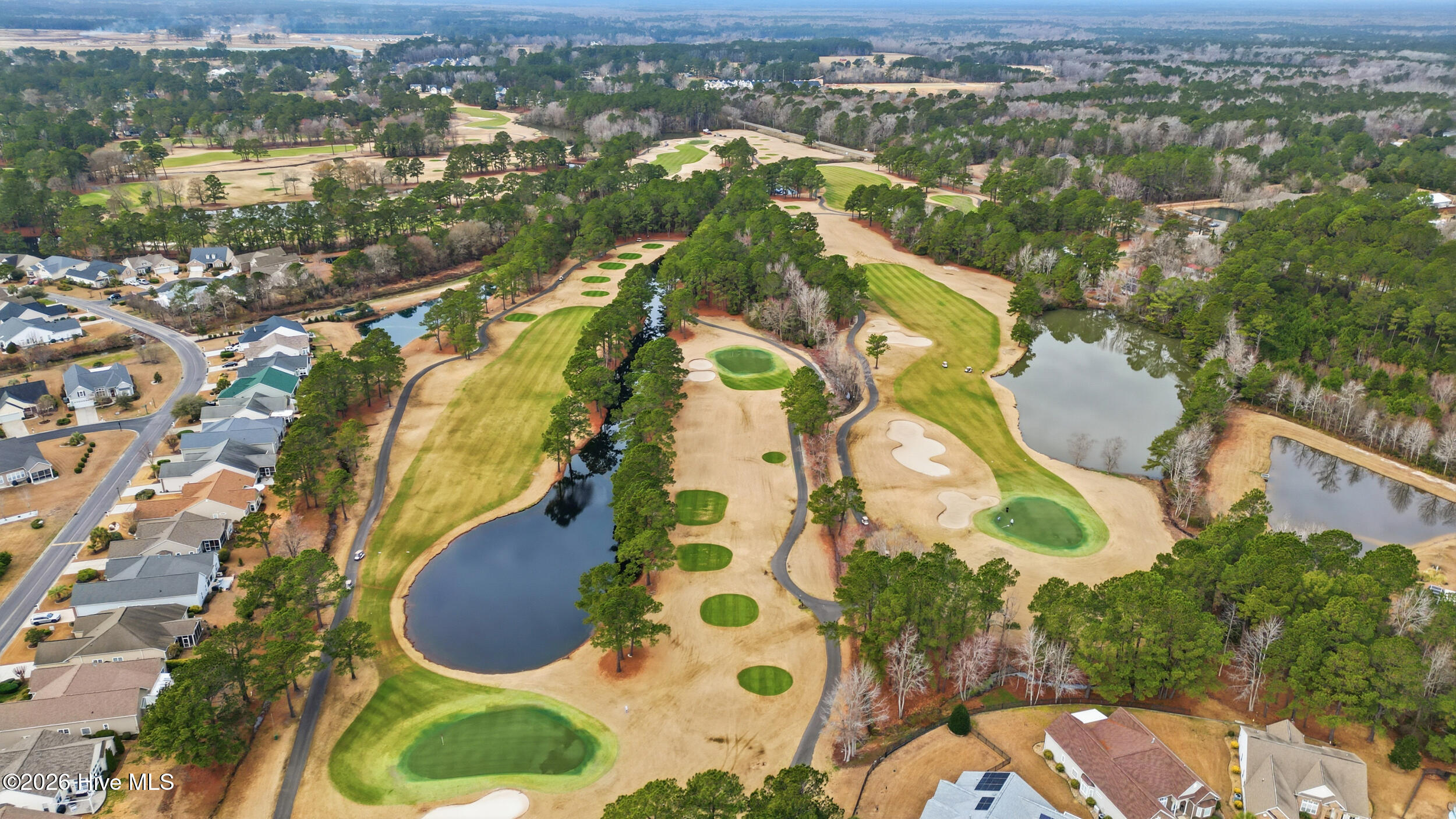 100555932 | Photo 45