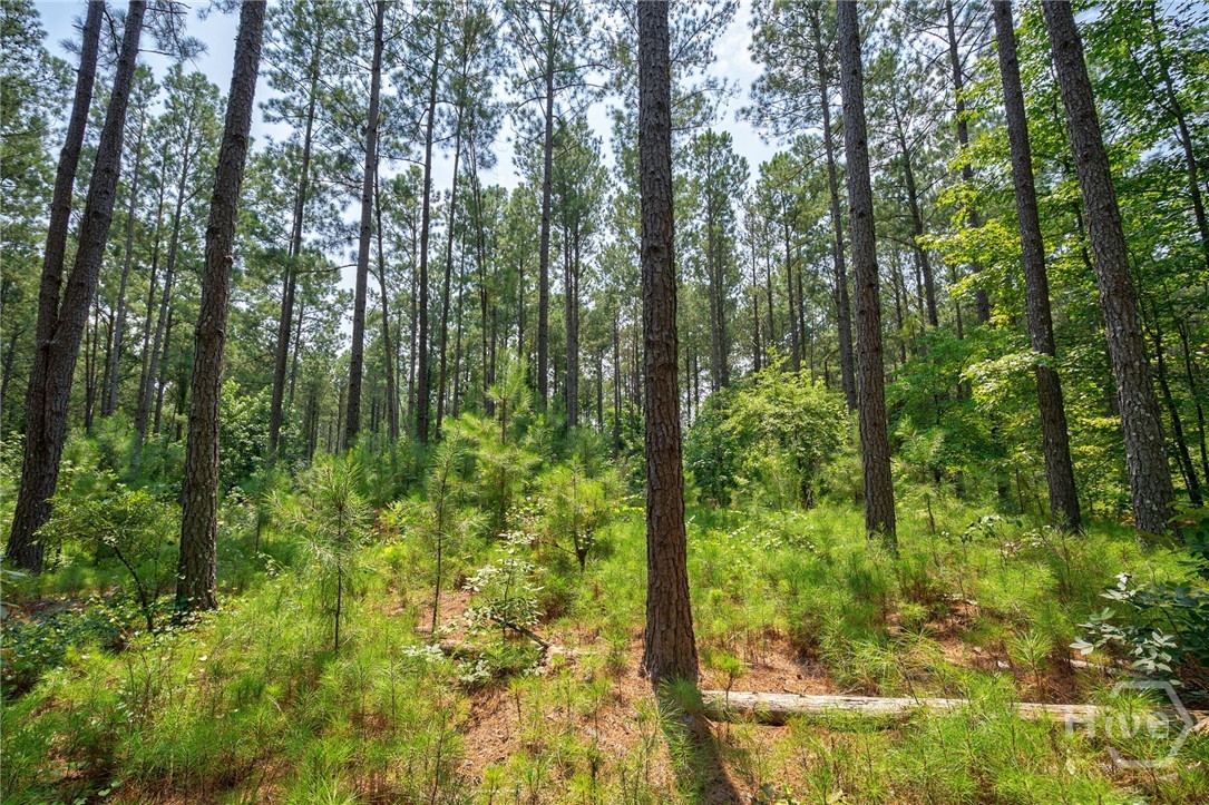 0 Jabez Poyner, Carlton, Georgia, 0 ,Agriculture,For sale,Jabez Poyner,CL361816 0 Jabez Poyner, Carlton, Georgia, 0 ,Agriculture,For sale,Jabez Poyner,CL361816