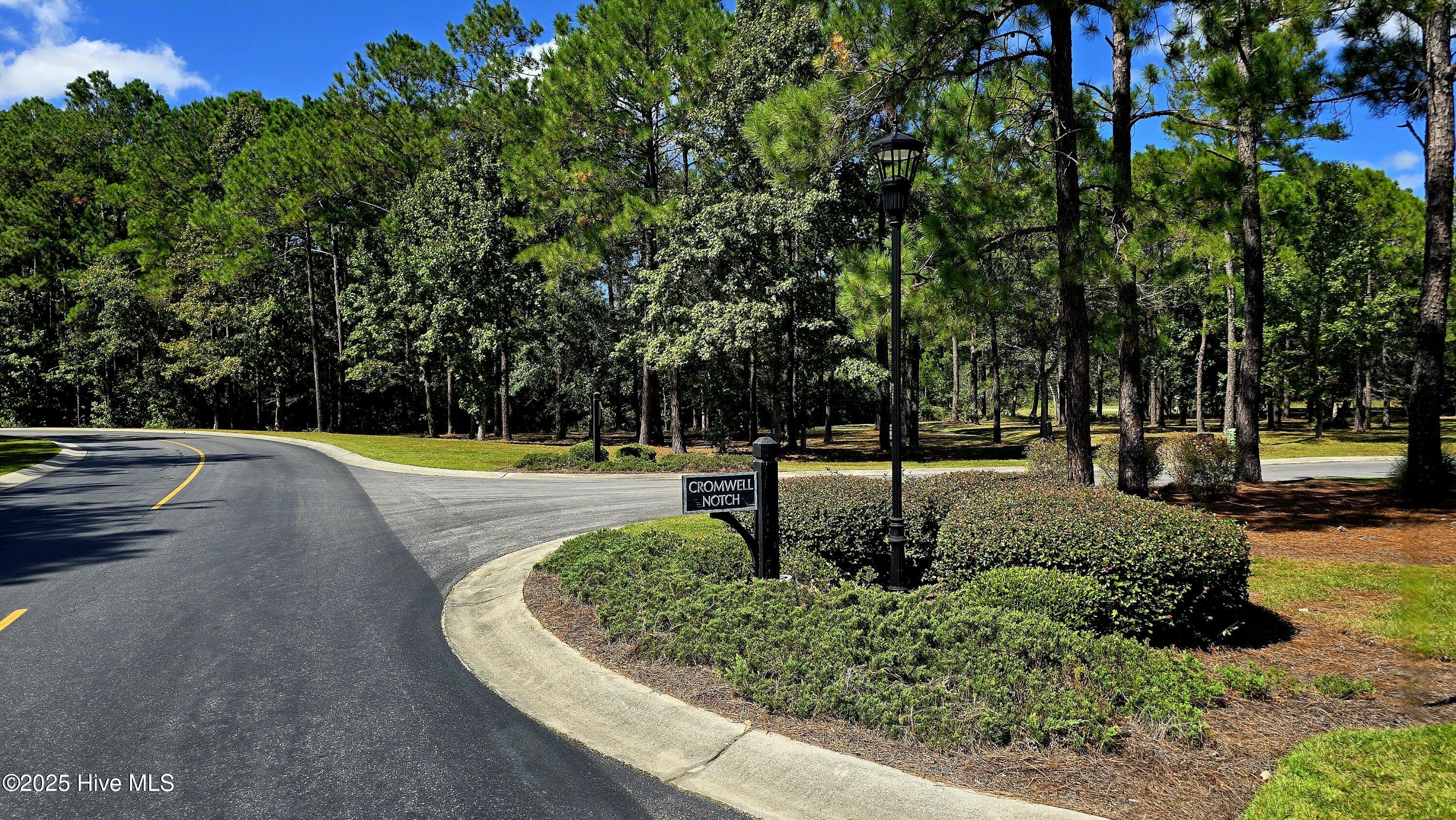 100534264 | Photo 10