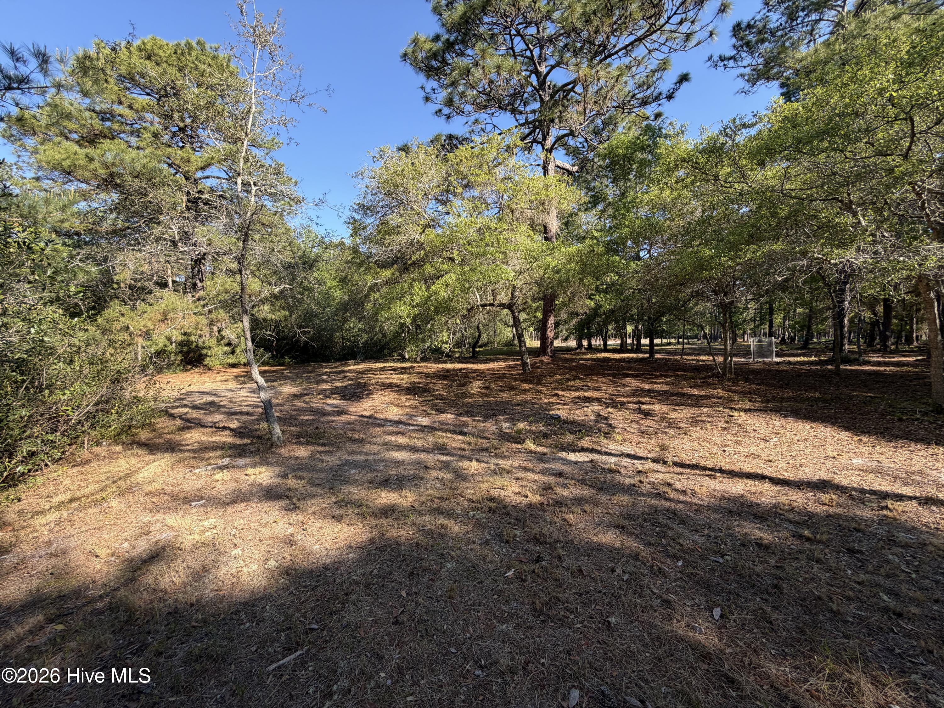 100569974 | Photo 28