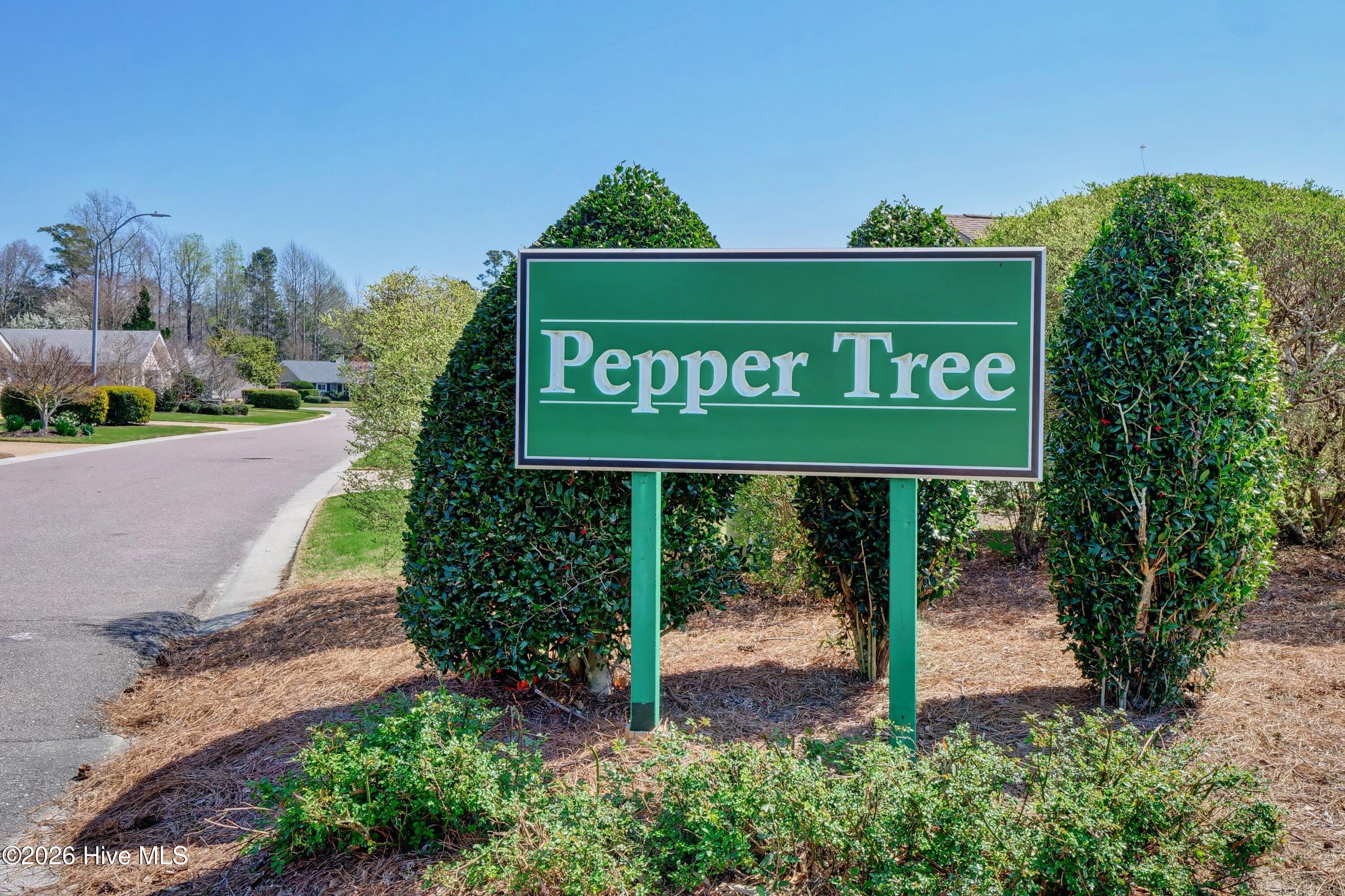 100554854 | Photo 28