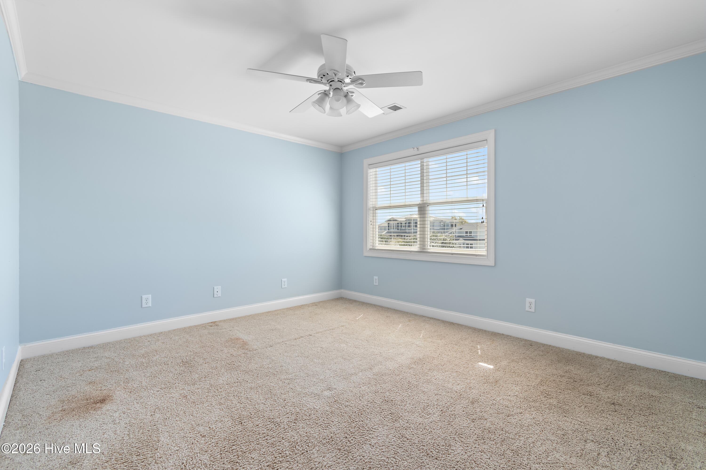 100566574 | Photo 35