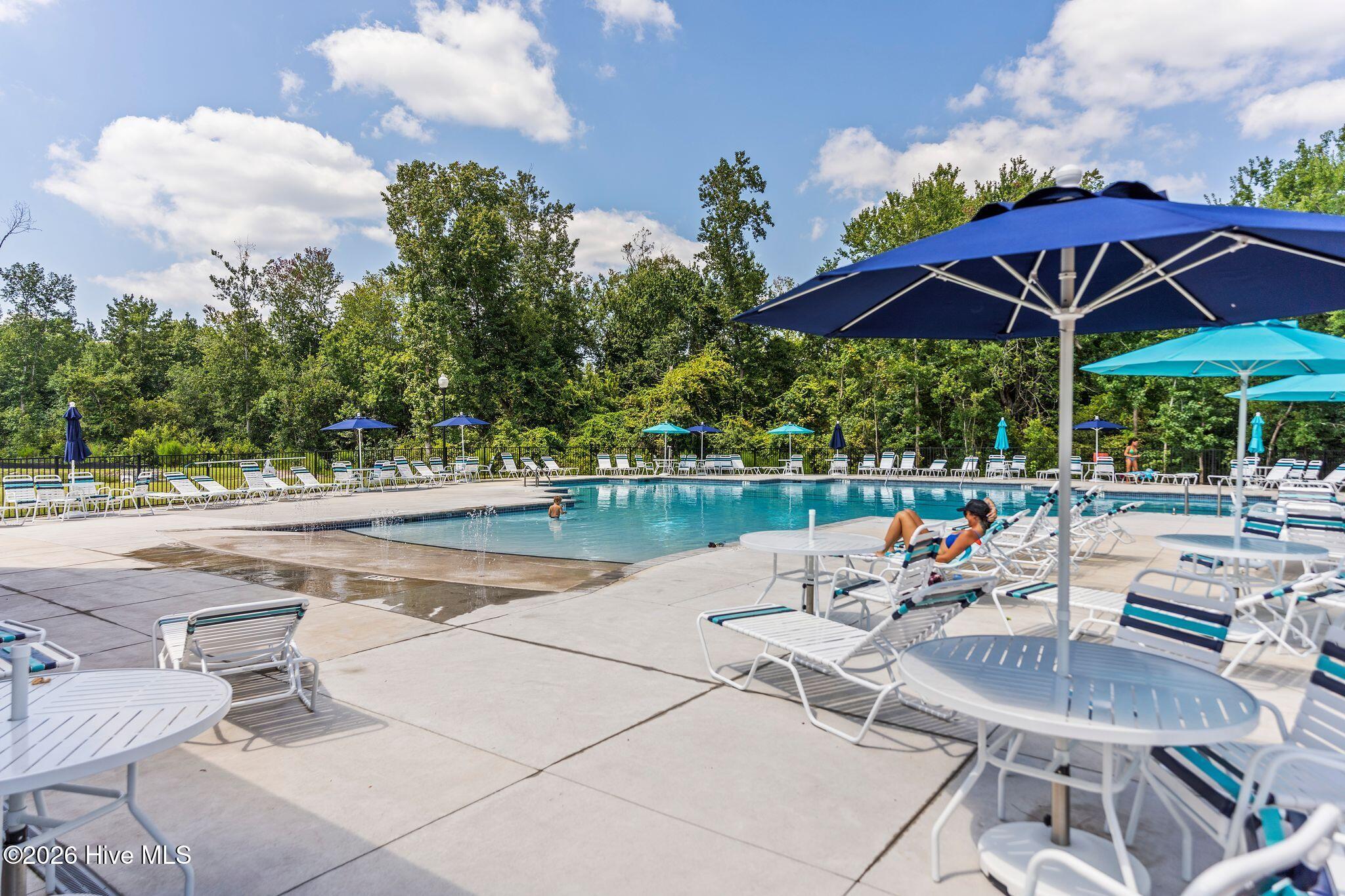 100562900 | Photo 46