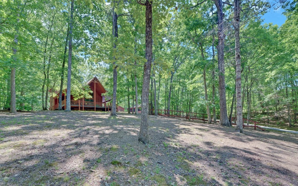 164 Dew Drop Lane, Murphy, NC 28906 Listing Photo  24