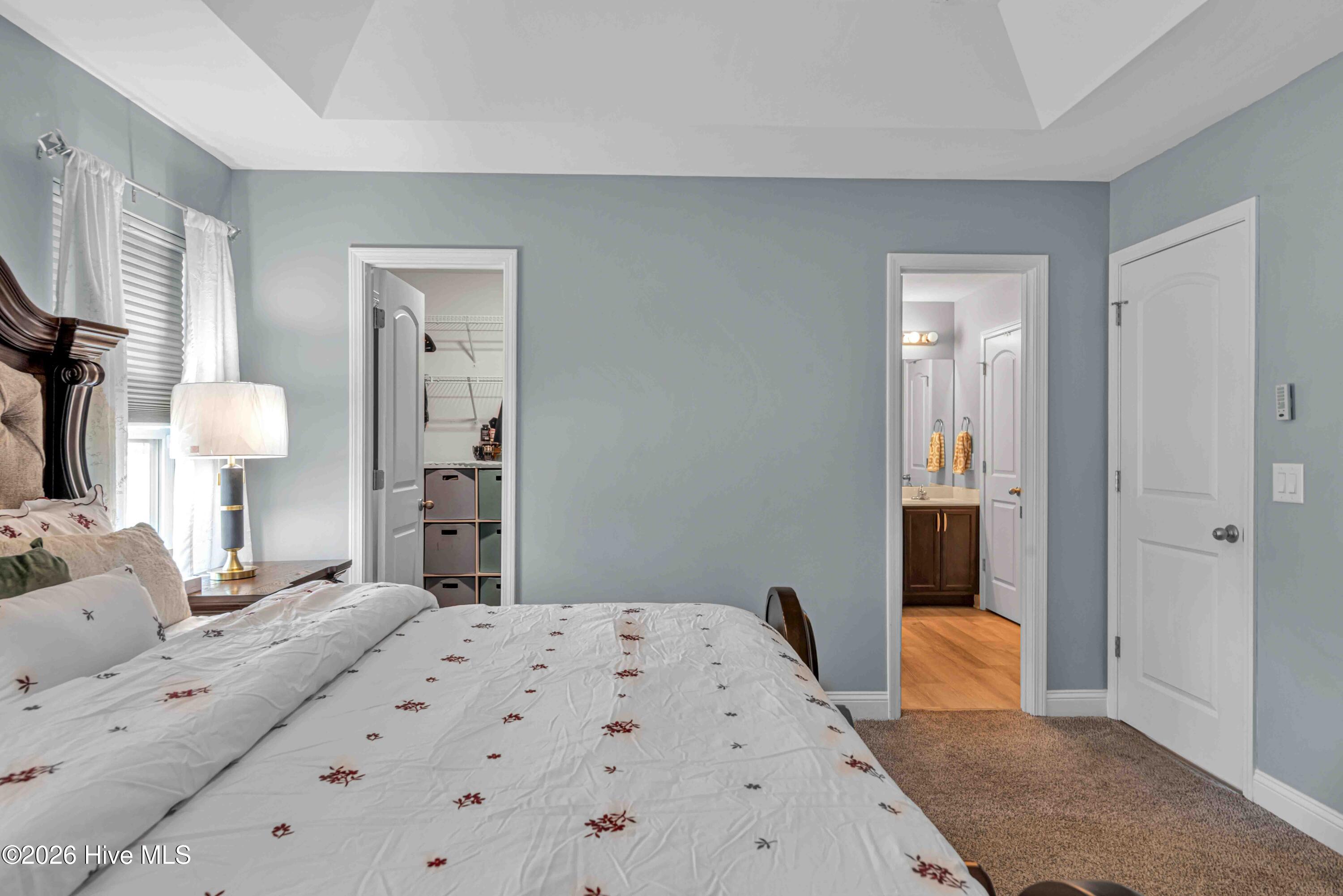 100558527 | Photo 22