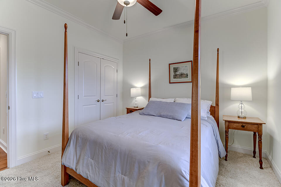 100548216 | Photo 26