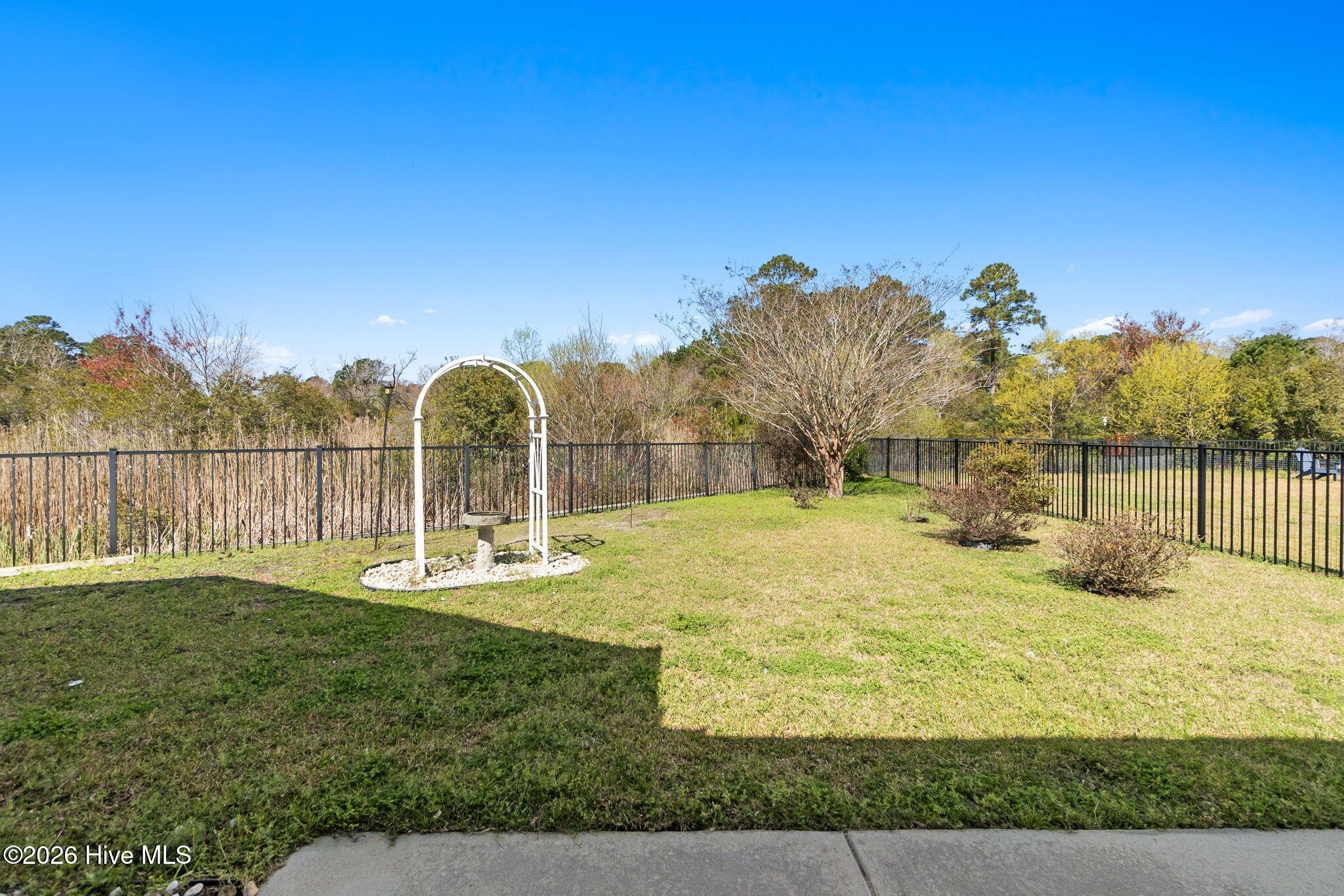 100561861 | Photo 43