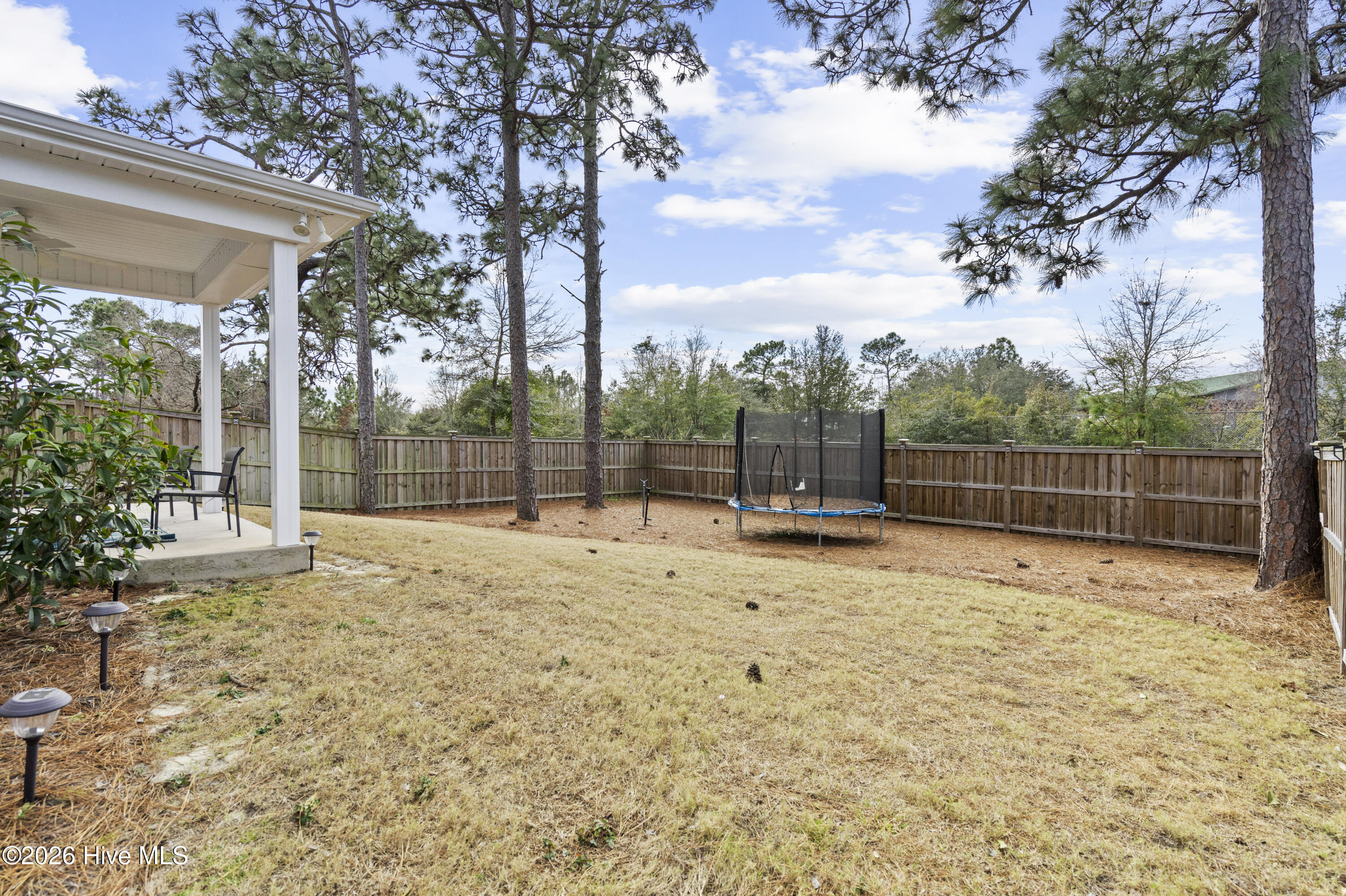 100554092 | Photo 37