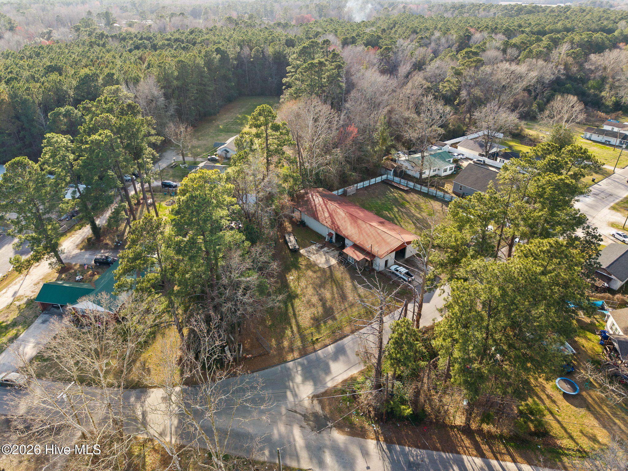 100558919 | Photo 19