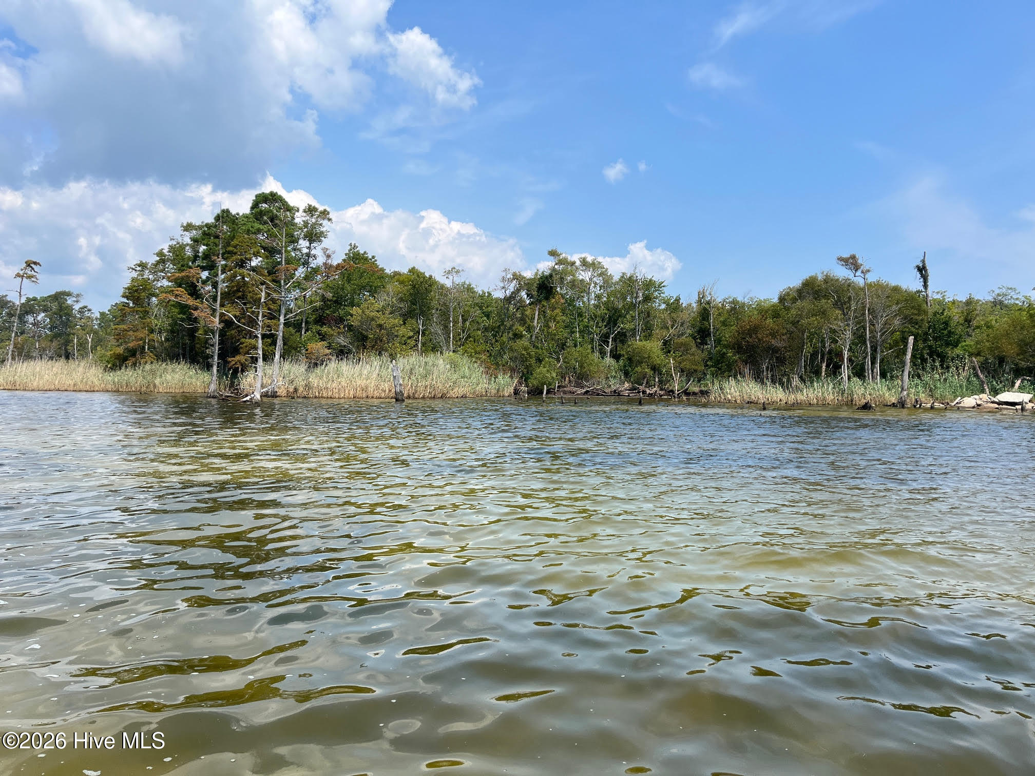 0 Lee, Jarvisburg, North Carolina, 0 ,Wooded,For sale,Lee,100557622 0 Lee, Jarvisburg, North Carolina, 0 ,Wooded,For sale,Lee,100557622