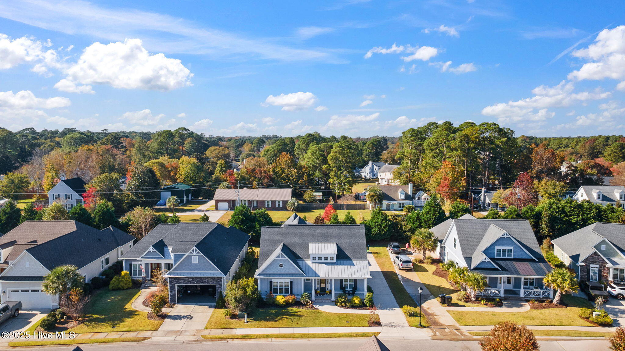 100540191 | Photo 45