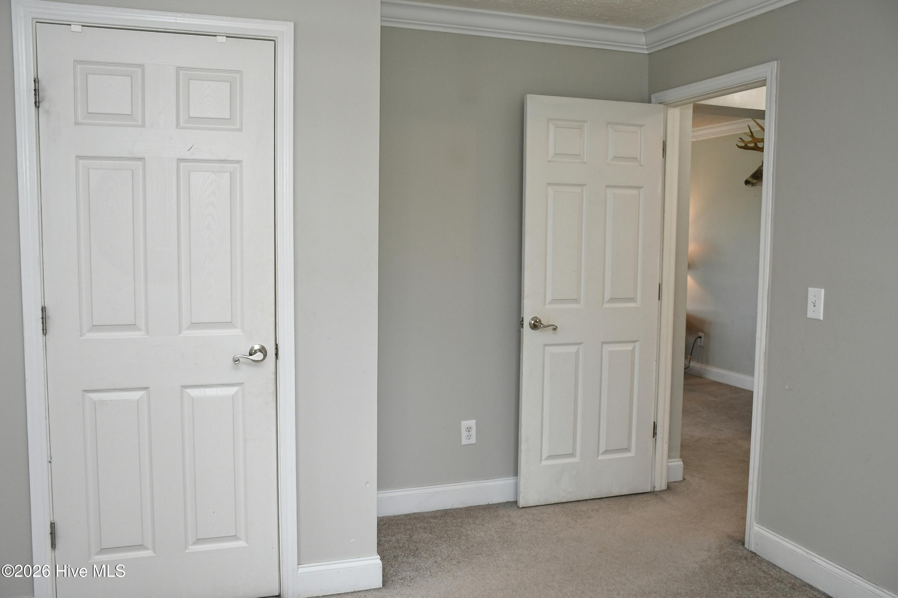 100565846 | Photo 22